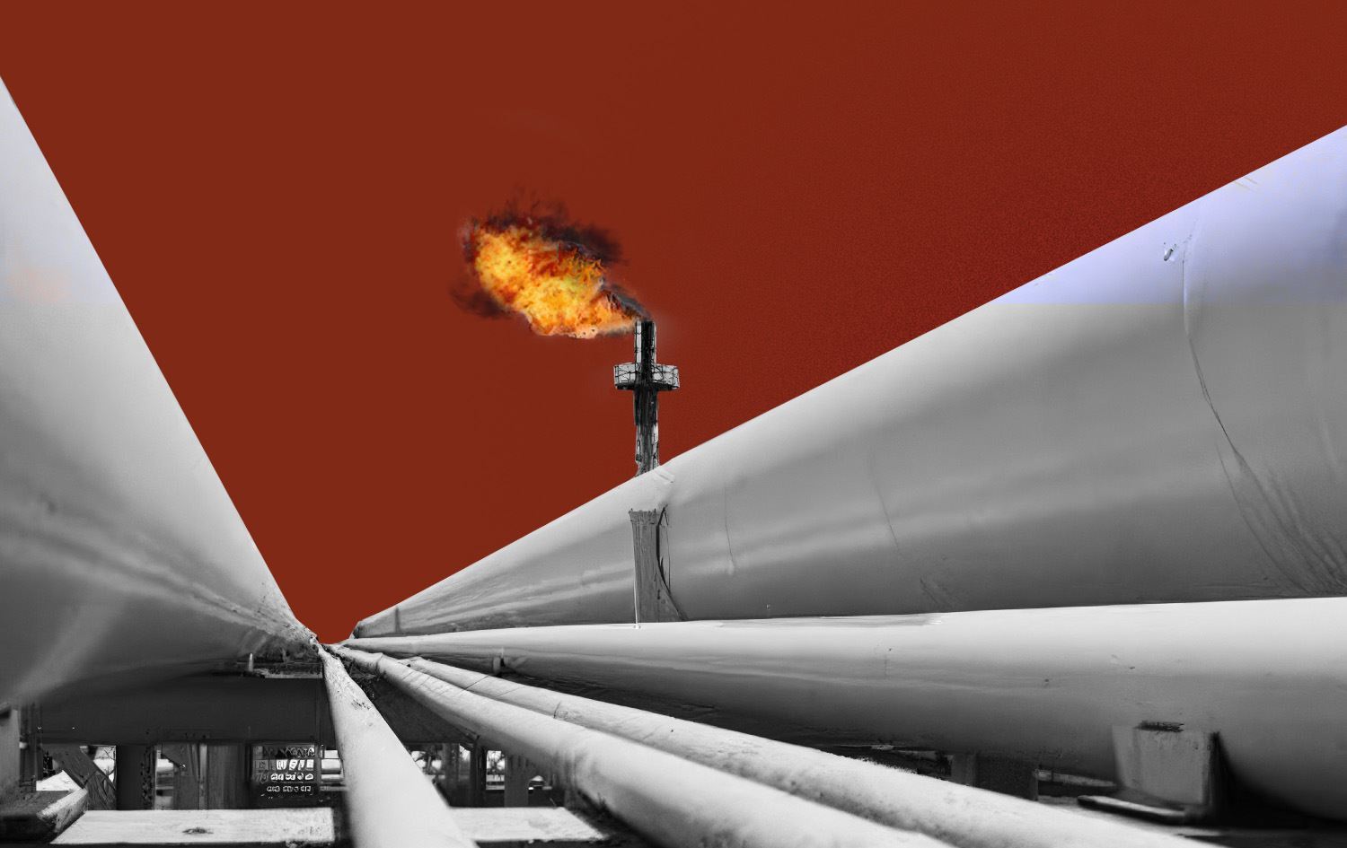 النفط العراقية: إيرادات شهر تشرين الثاني بلغت أكثر من 6.5 مليار دولار 