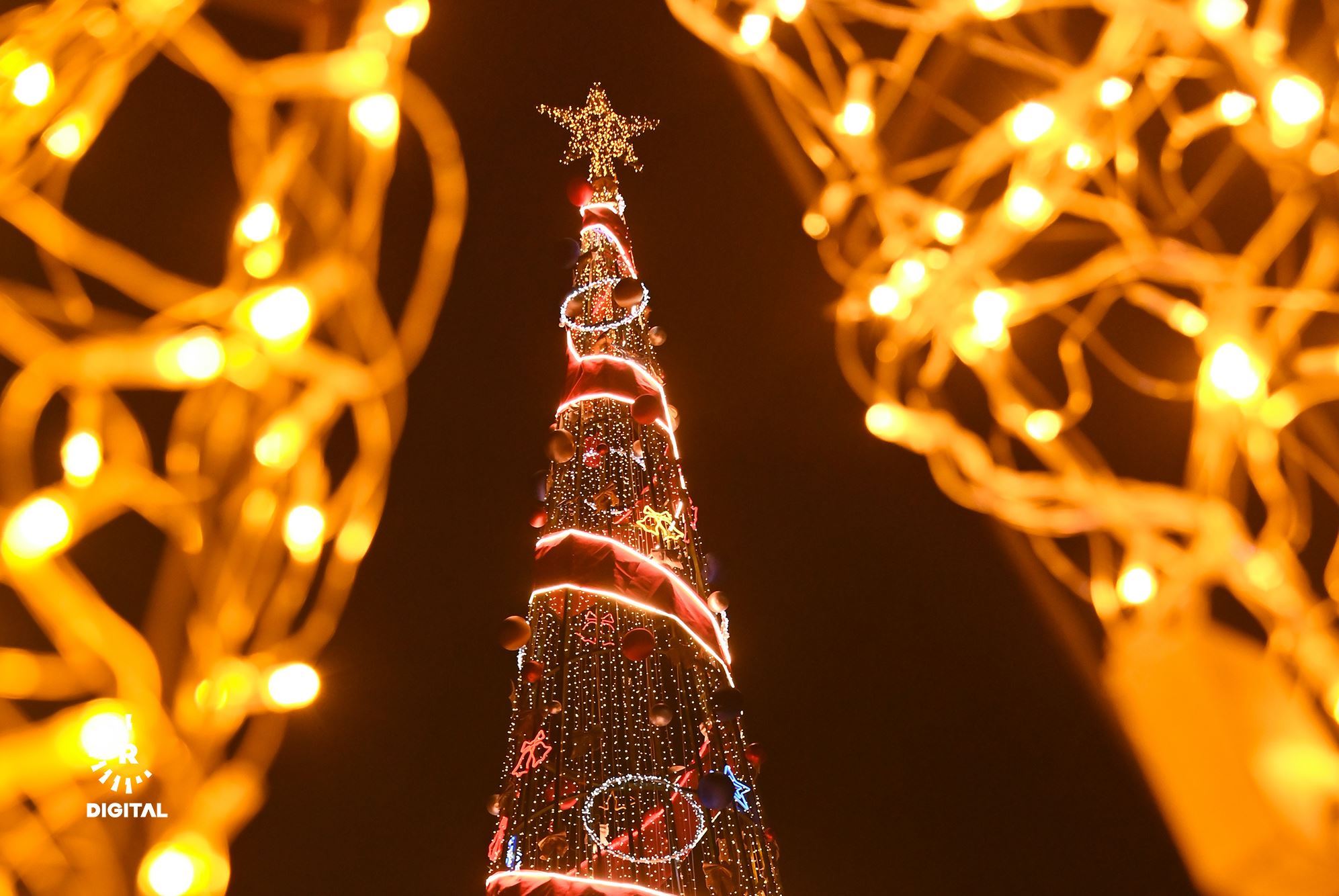 دارێکی کریسمس. وێنە: بڵند تاهیر - رووداو