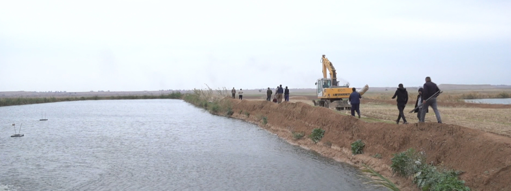 هەڵمەتێکی گەورە لە کەرکووک دەستیپێکردووە و رۆژانە 30 حەوزی ماسی دەڕووخێندرێن