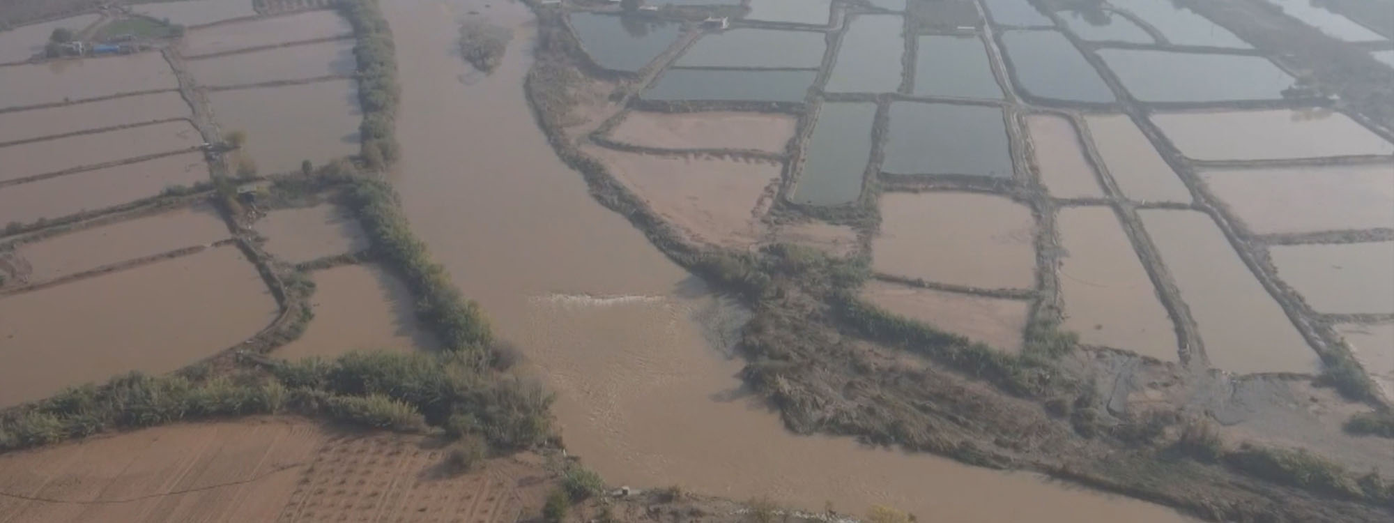 Recent floods kill over 750,000 fish in Erbil’s Taq Taq
