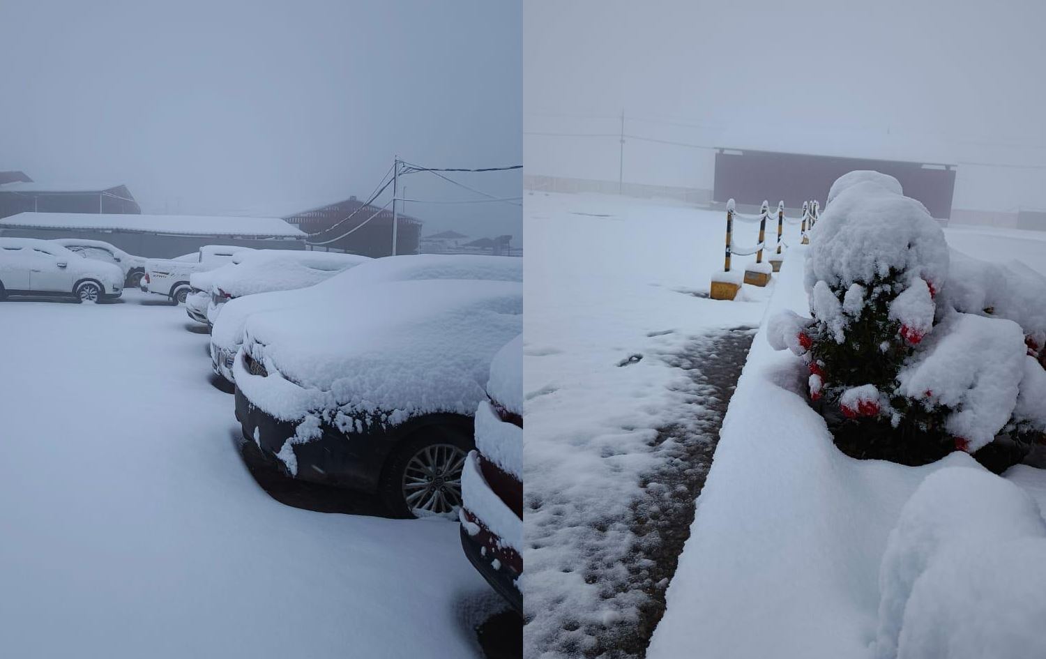 کەشناسیی هەرێمی کوردستان: ئەمڕۆ و سبەی باران و بەفر دەبارێ