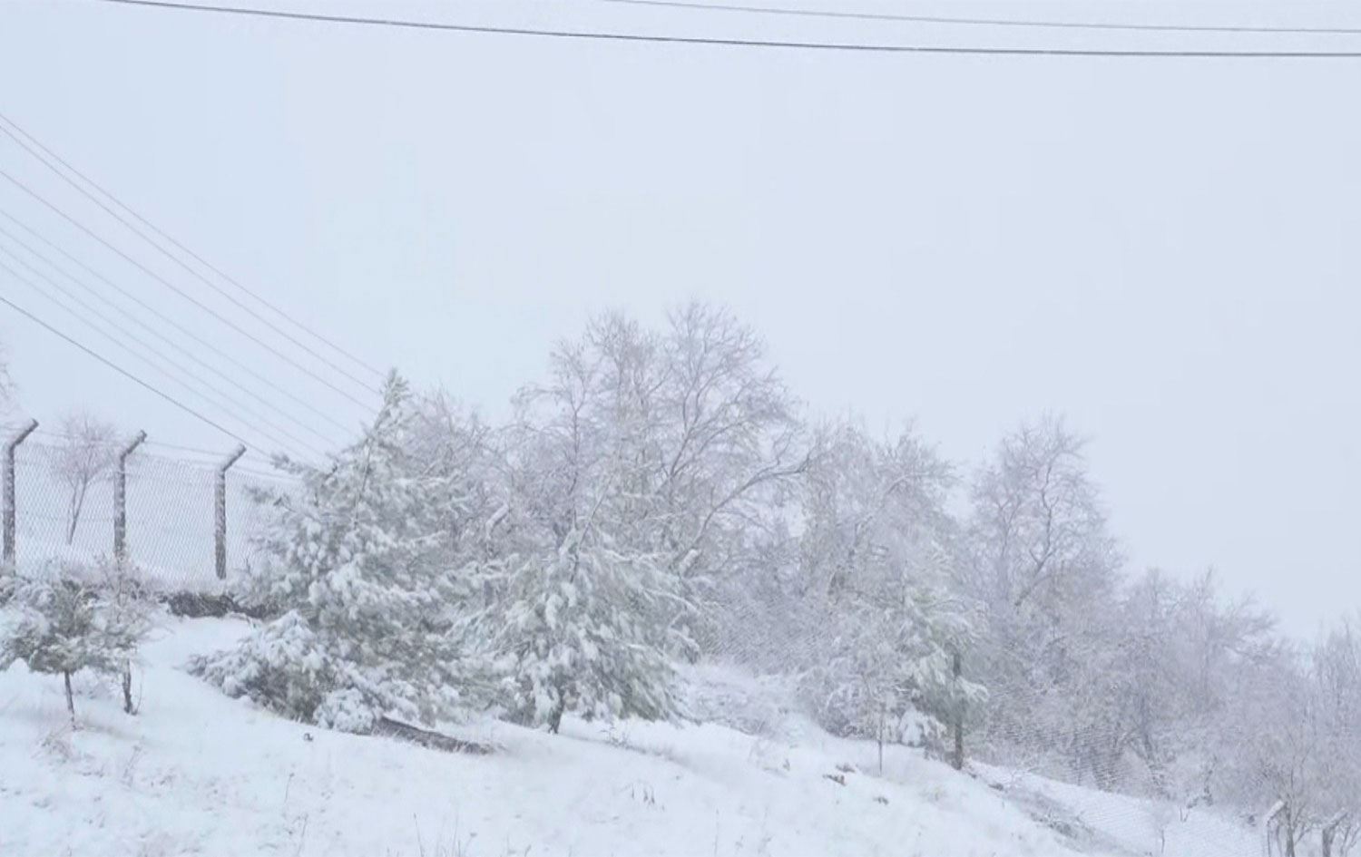 شەپۆلێکی بەفربارین هەرێمی کوردستان دەگرێتەوە و پێشبینی دەکرێت لەنێو شارەکانیش ببارێت