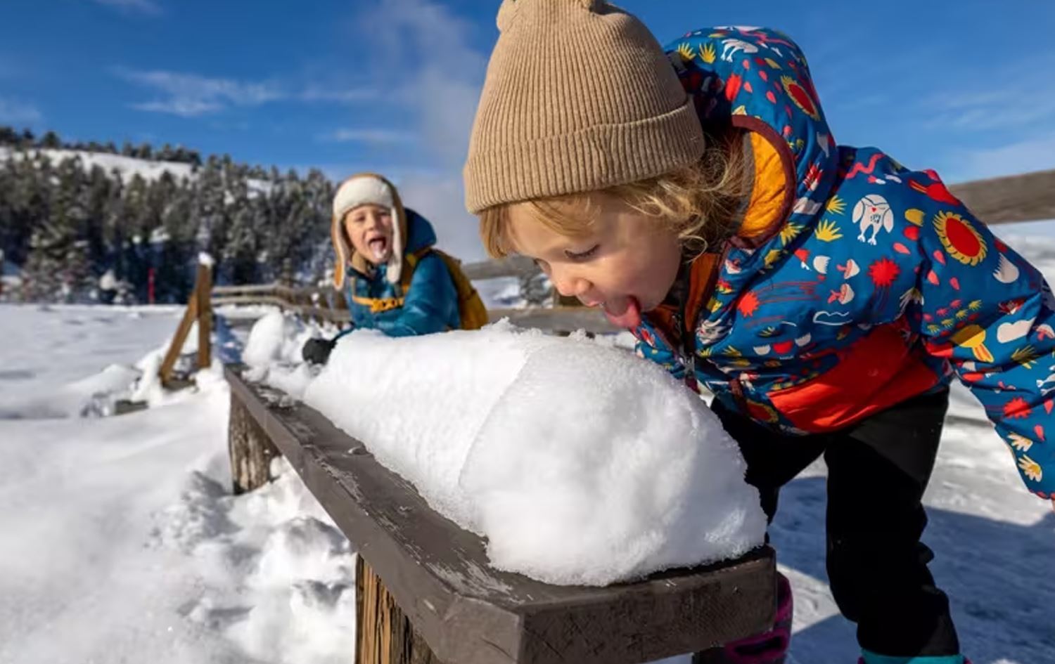 صورة تعبيرية