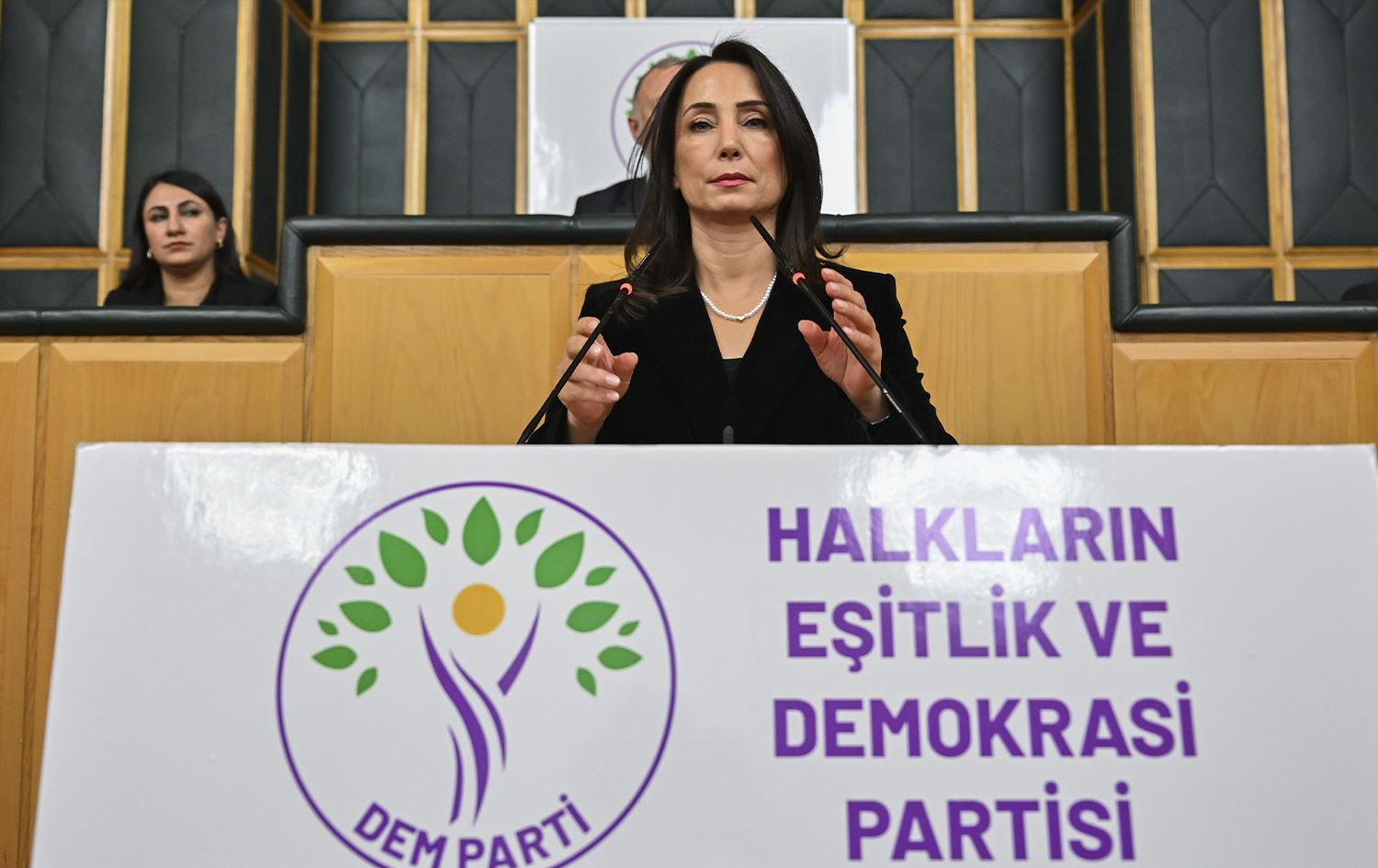 Hevseroka Giştî ya DEM Partiyê Tulay Hatîmogullari / Wêne: AA