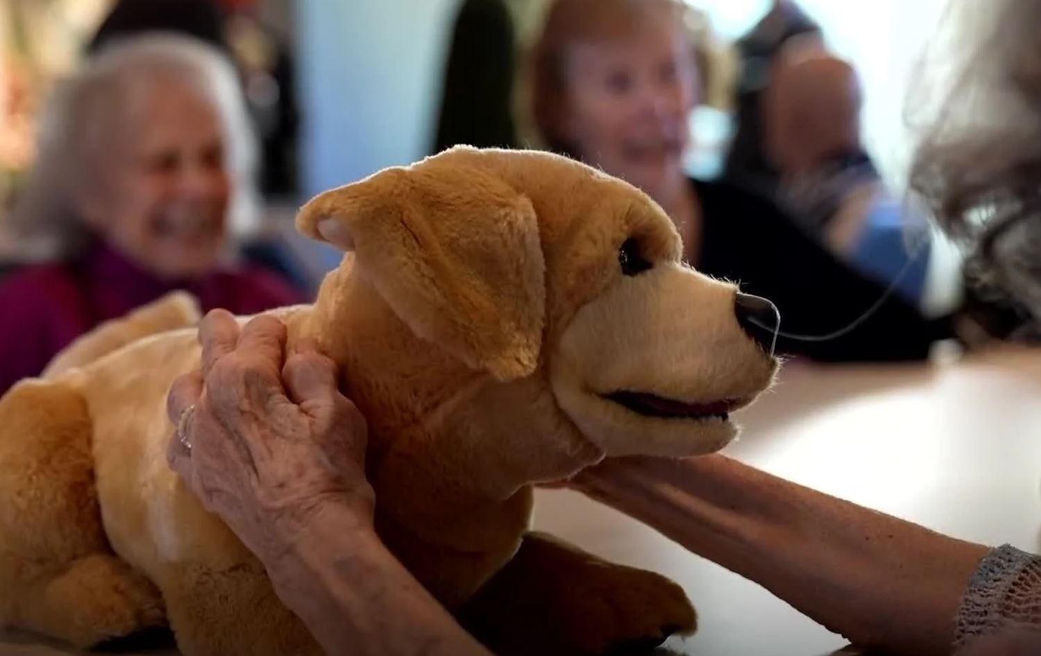 سەگەڕۆبۆتەکە.