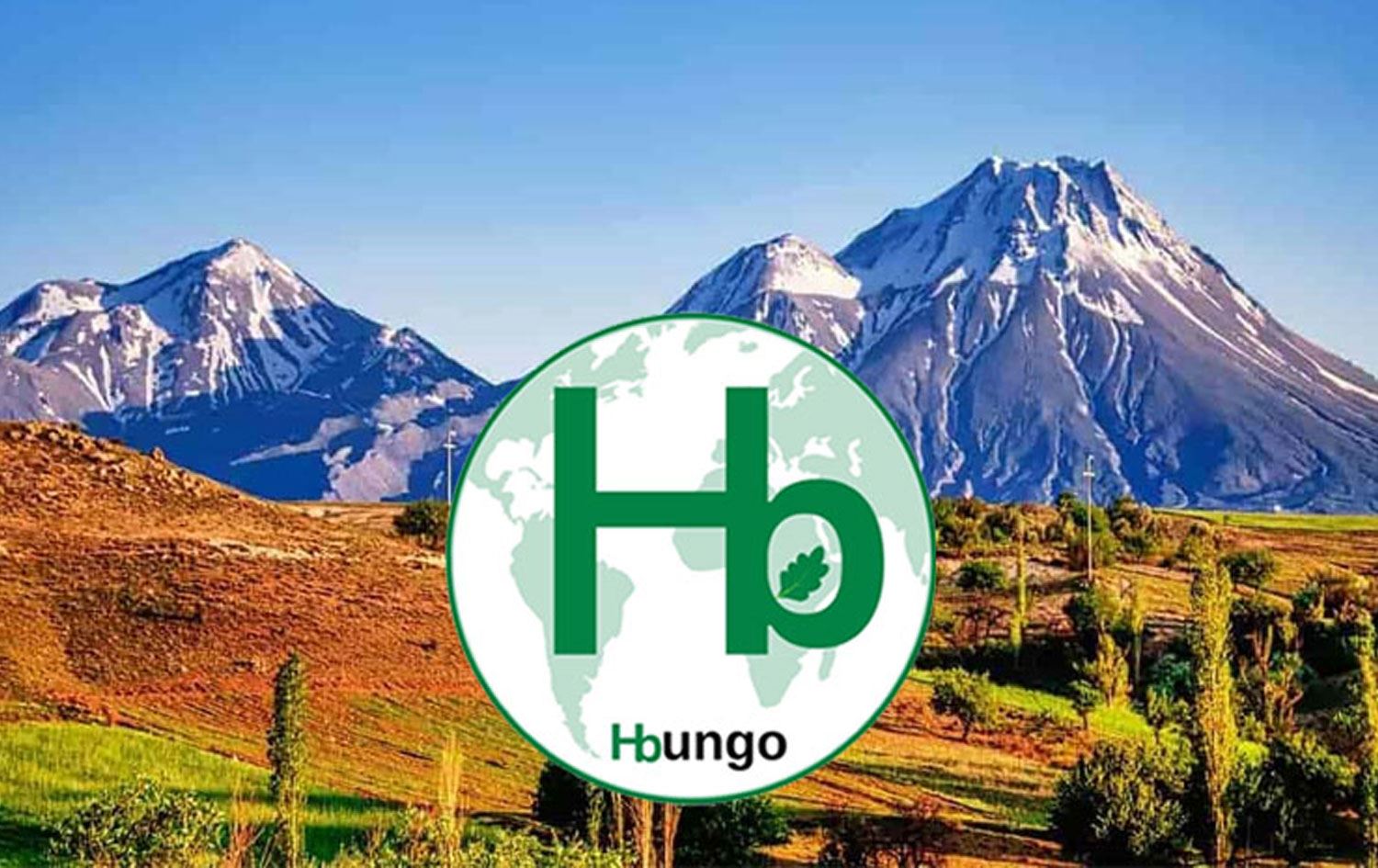 Bingöl'de bulunan Hungobungo Derneği'nin logosu 