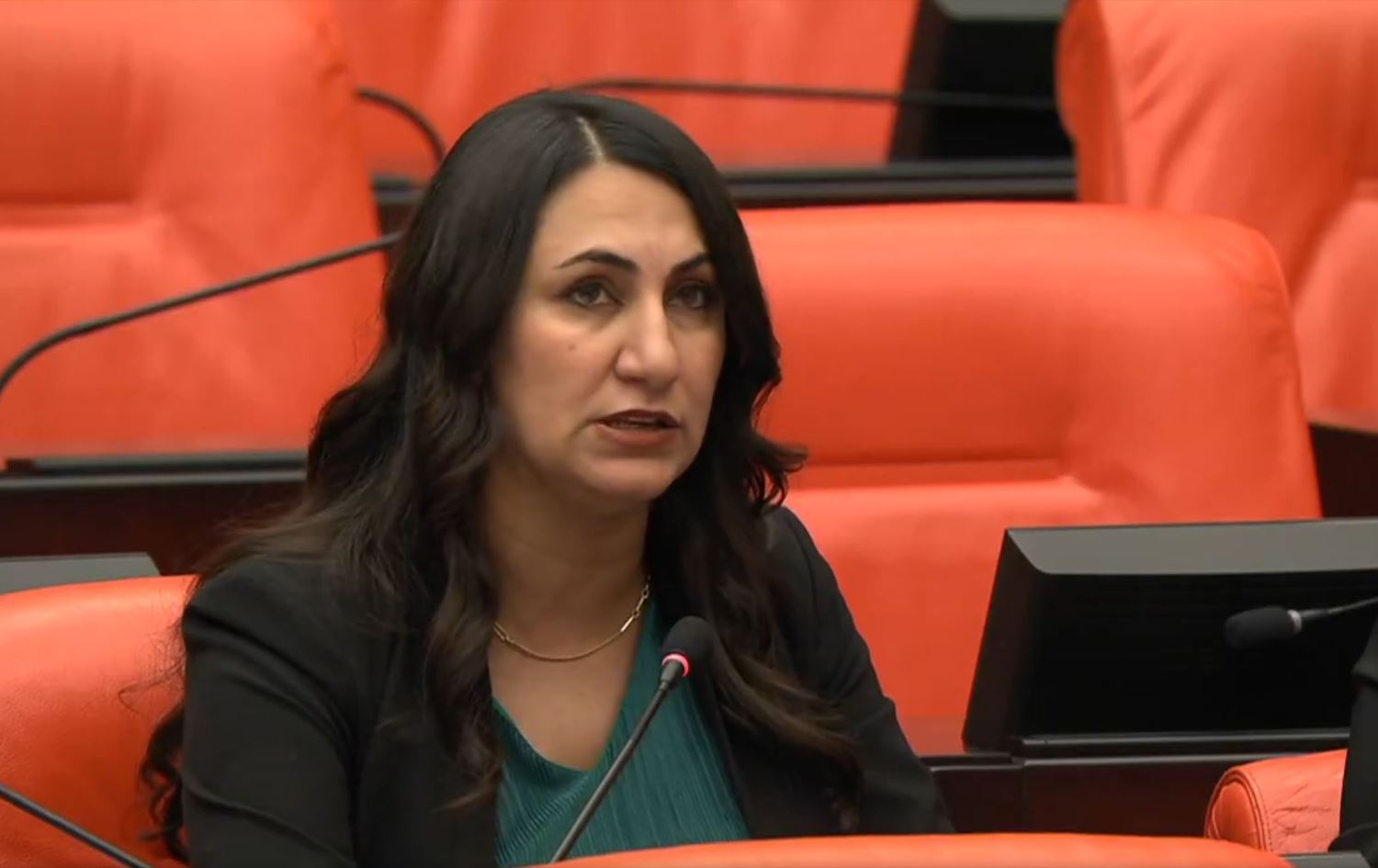  Parlamentera DEM Partiyê ya Êlihê Zeynep Oduncu Kutevî / Wêne: X