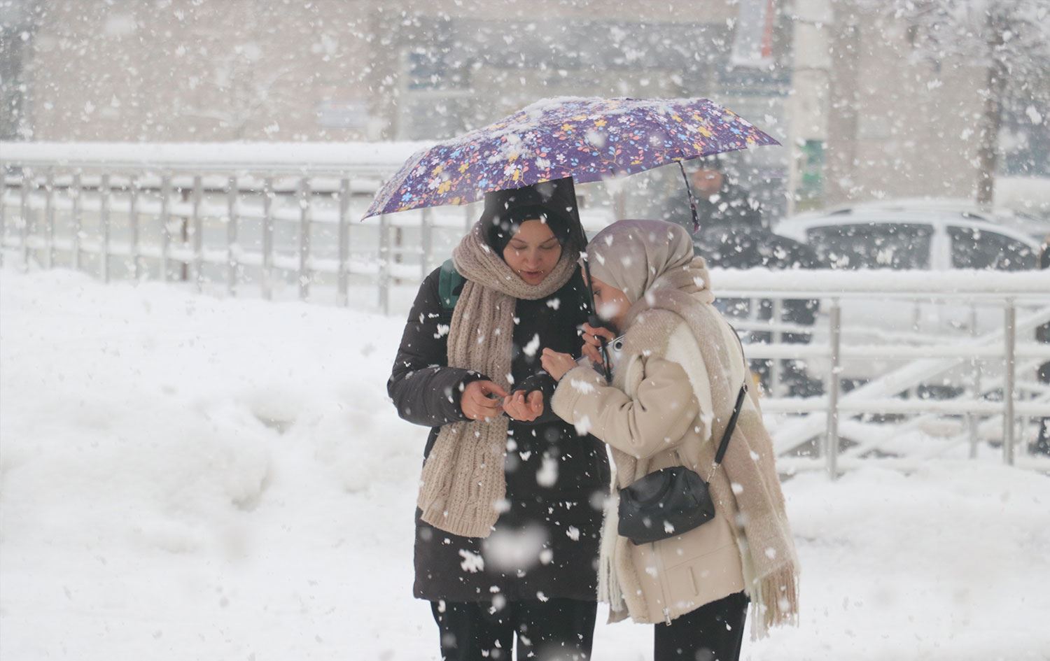 Ağrı'da kar yağışı Foto: AA