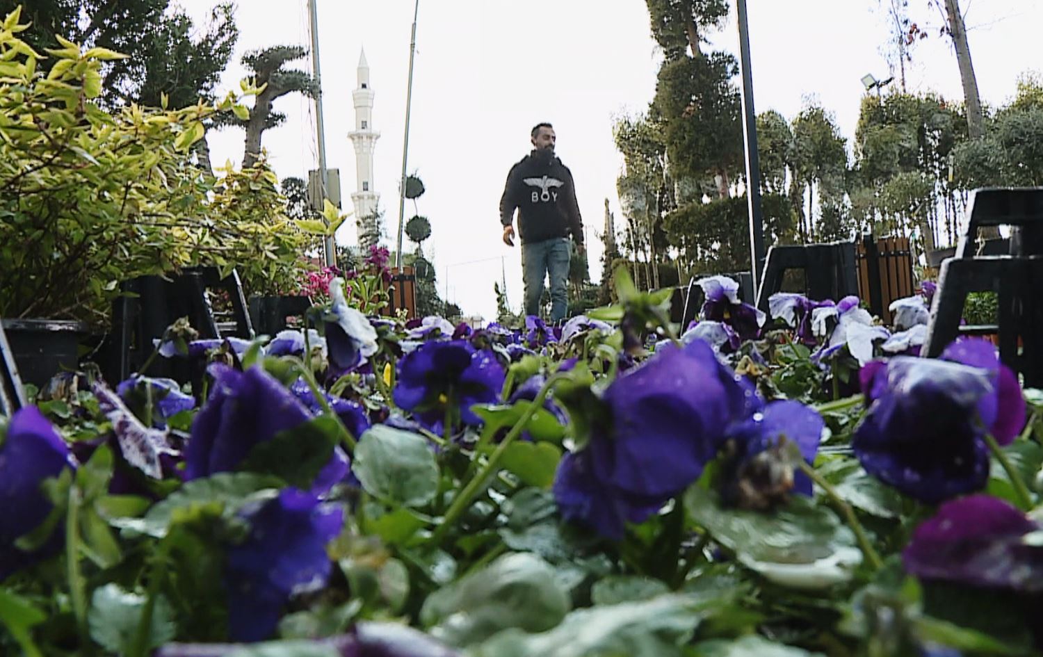 باخداری. وێنە: رووداو