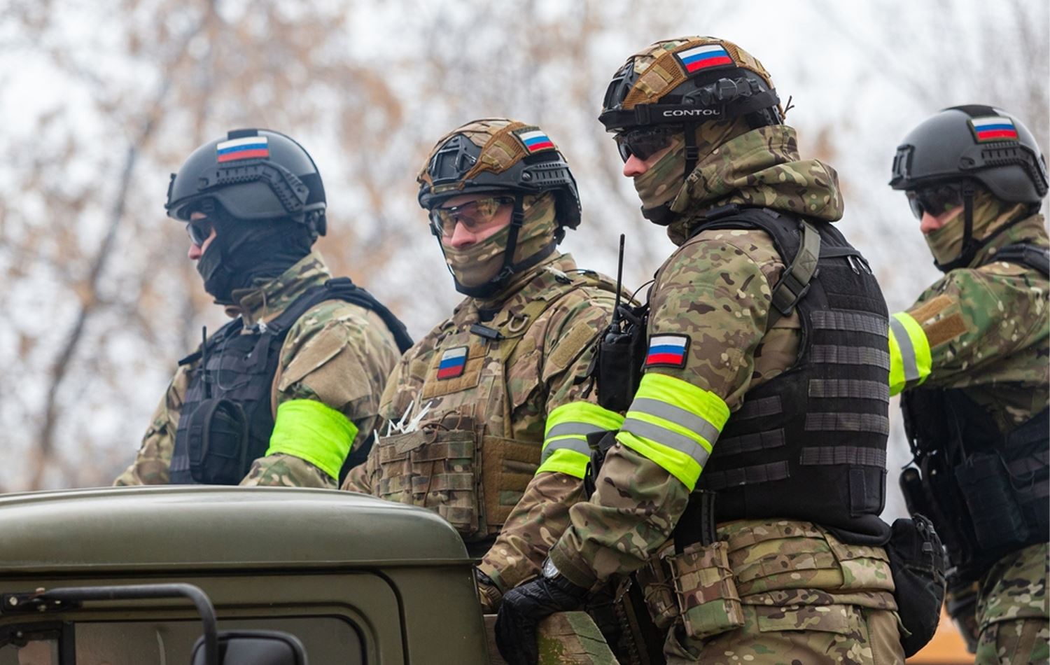 Foto: Dmitriy Kandinskiy/Shutterstock.com