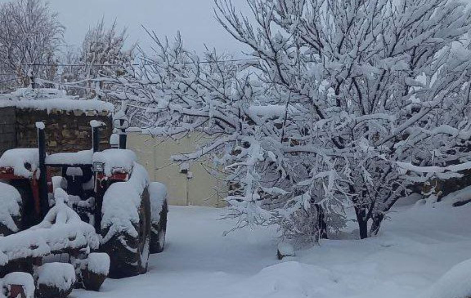 دیمەنێکی بەفر لە کرماشان، وێنە: تایبەت بە رووداو/ئەرشیڤ
