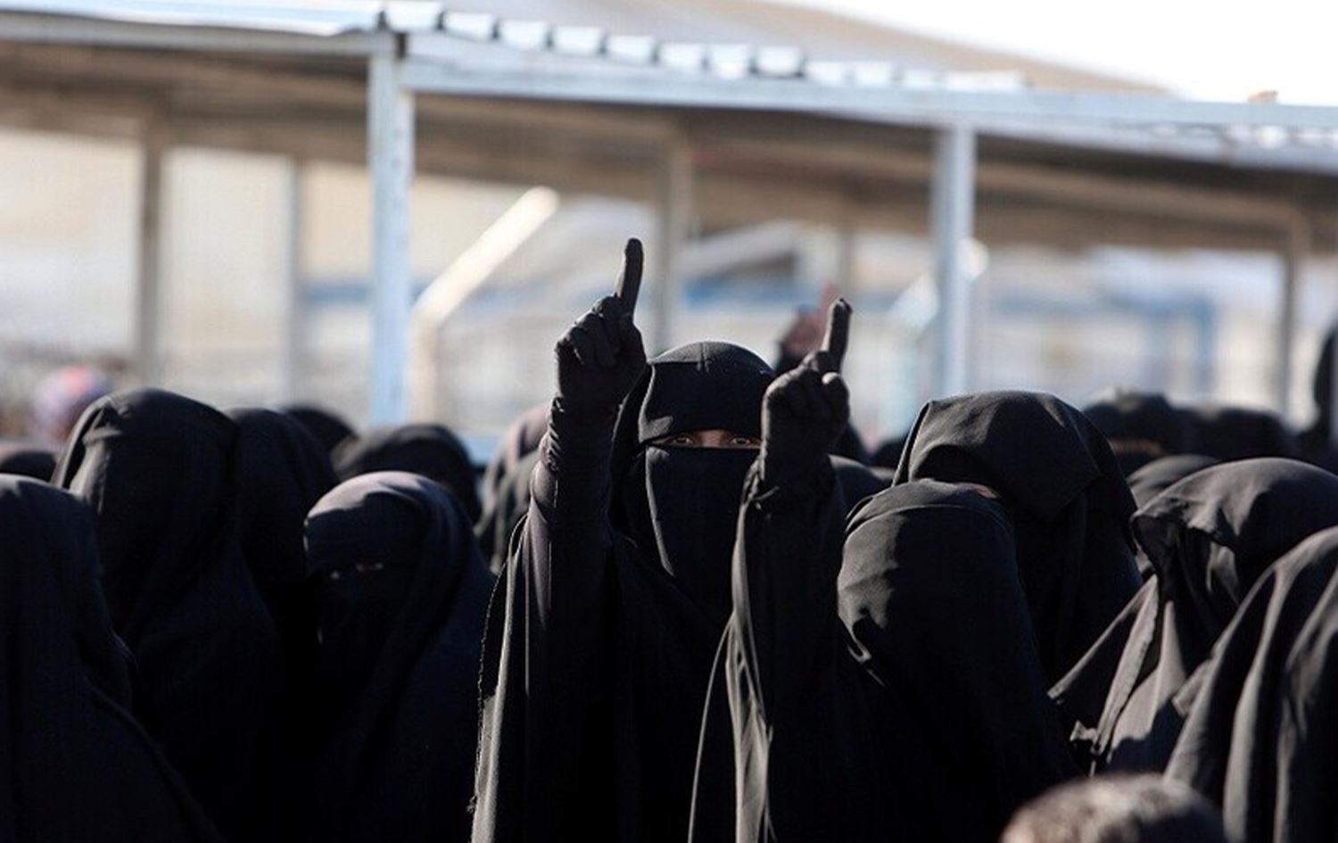 عوائل تنظيم داعش في مخيم الهول - ارشيف