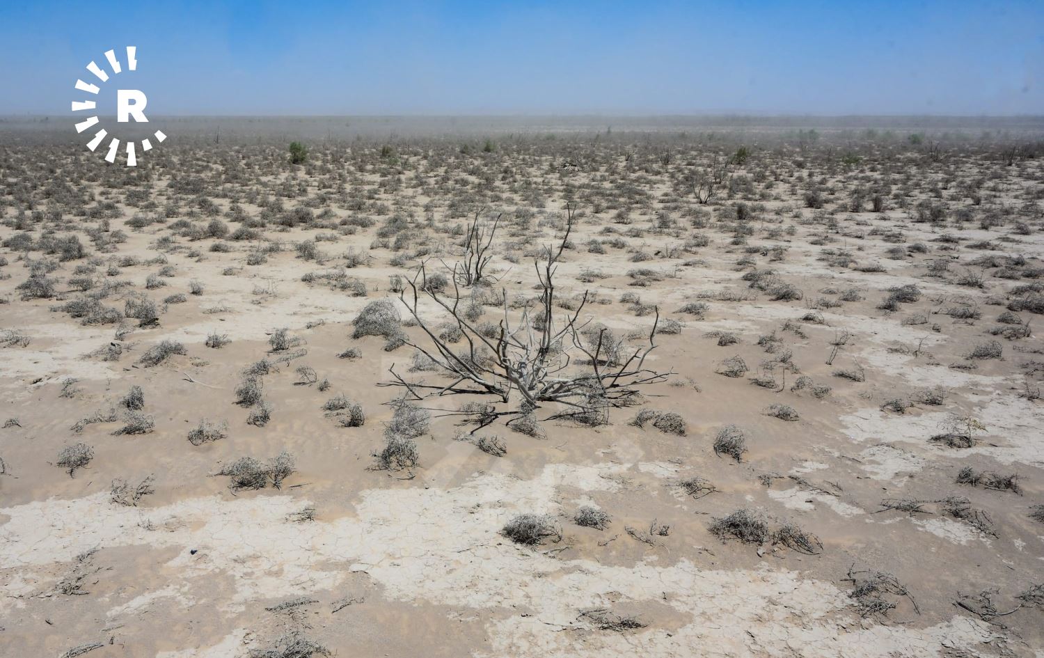 مرصد إيكو عراق: 28 مليون دونم صالحة للزراعة و13 مليون فقط مزروعة فعلياً 