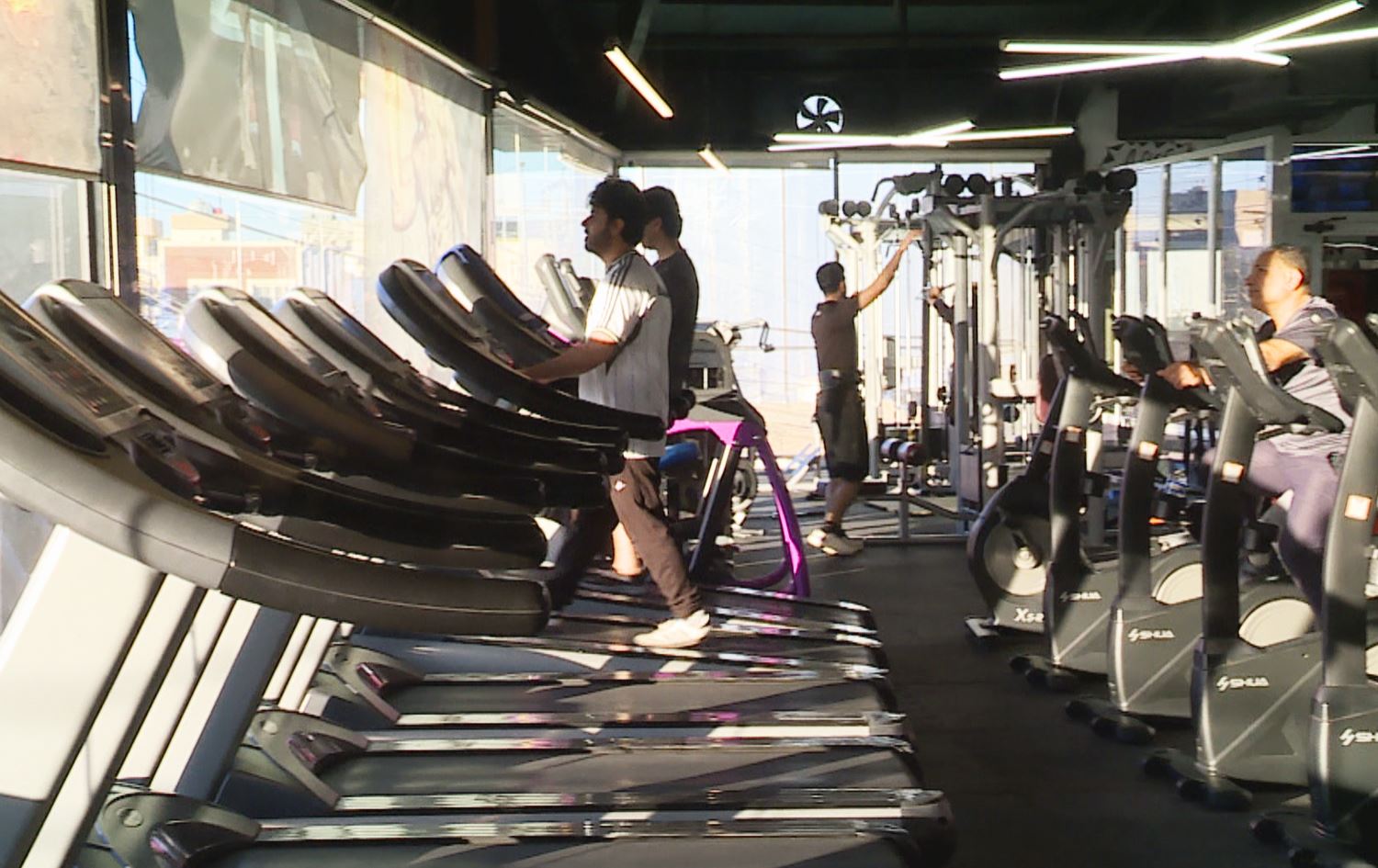 کۆمەڵێک گەنج لەنێو هۆڵێکی وەرزشی لە هەولێر وەرزش دەکەن. وێنە: رووداو