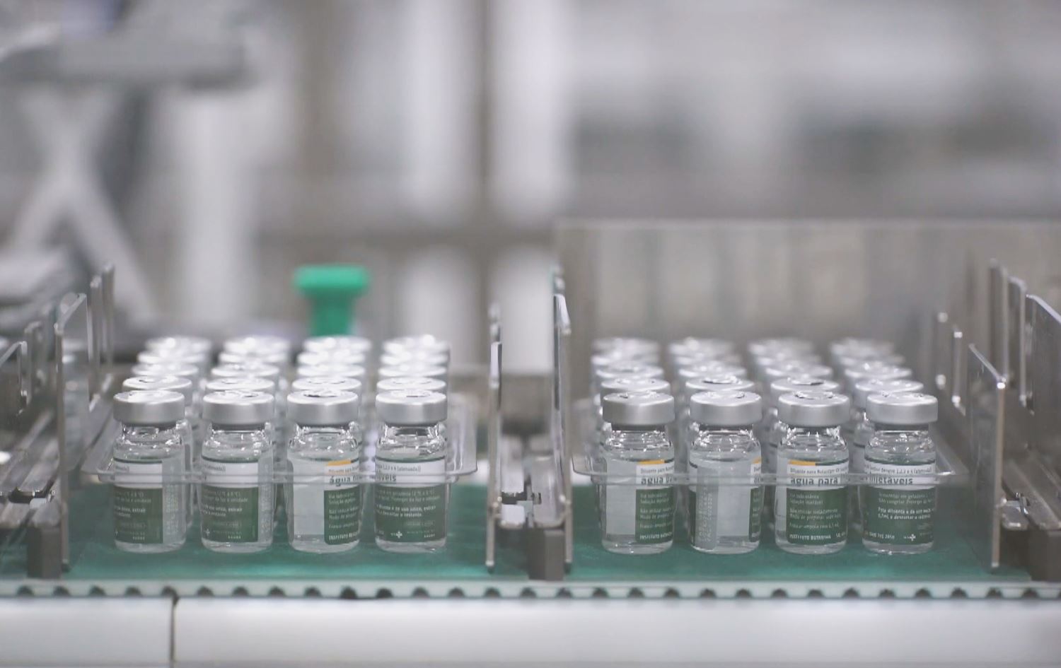 بۆ یەکەمجار.. یەکەم ڤاکسینی دژە تای خوێنبەربوون لە بەرازیل دروستکرا