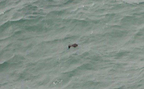 Balafira windabûyî hat dîtin