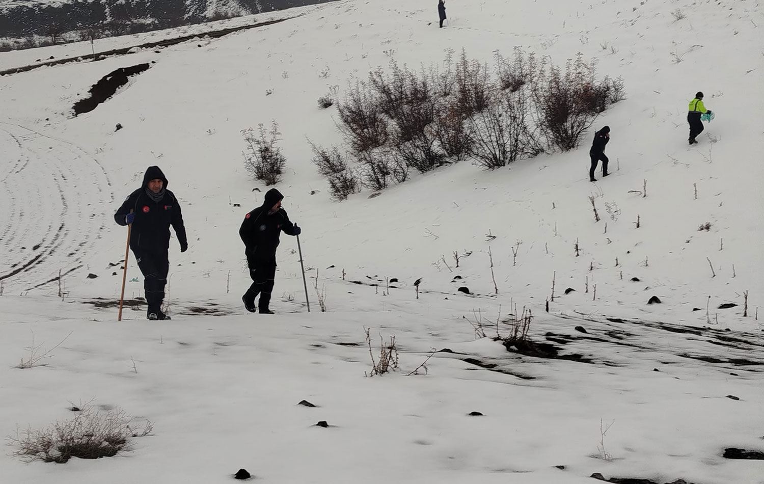 Diyarbakır'ın Çınar ilçesinde 21 Ocak'ta evinden ayrıldıktan sonra haber alınamayan 45 yaşındaki kadın, 7 gündür ekipler tarafından aranıyor. / AA