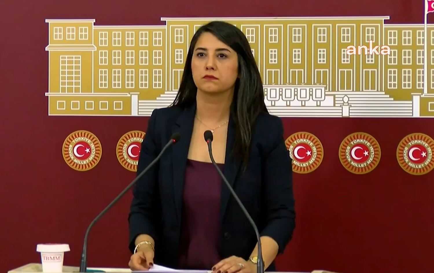 دیلان کۆنت ئایان، پەرلەمانتاری دەم پارتی