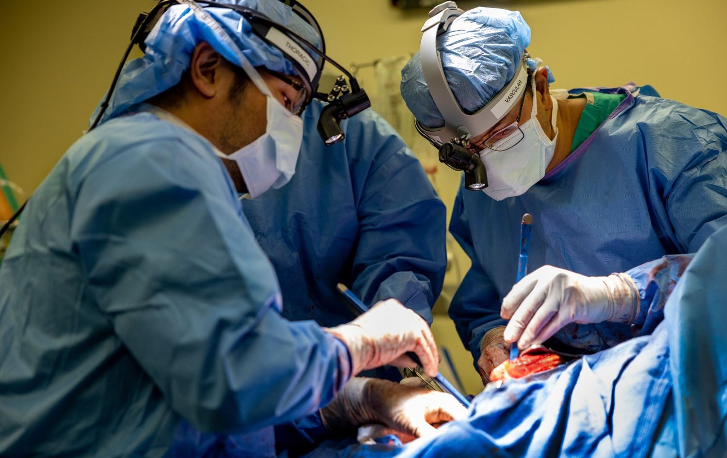 نەشتەرگەریی چاندنی سییەکان.