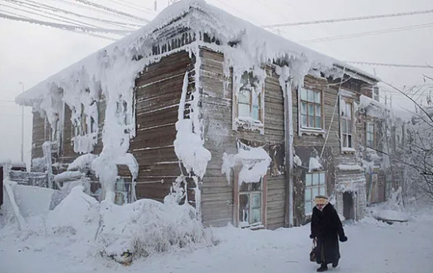 Maleke qeşagirtî li Rûsyayê / Wêne: Amos Chapple