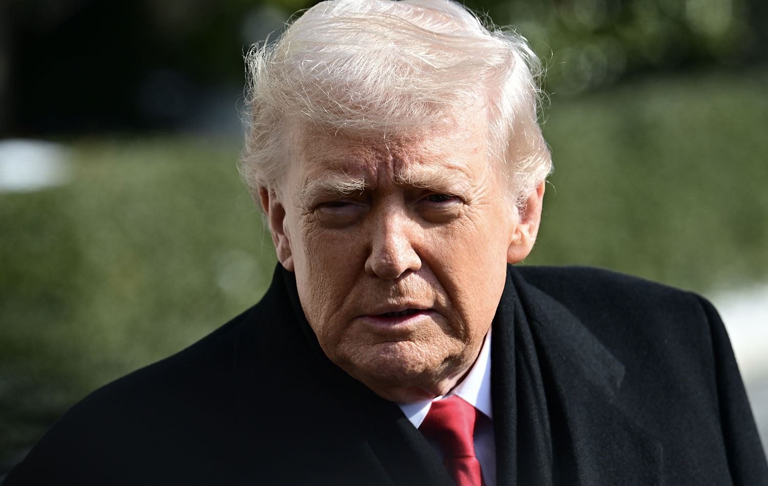 ABD Başkanı Donald Trump / AA