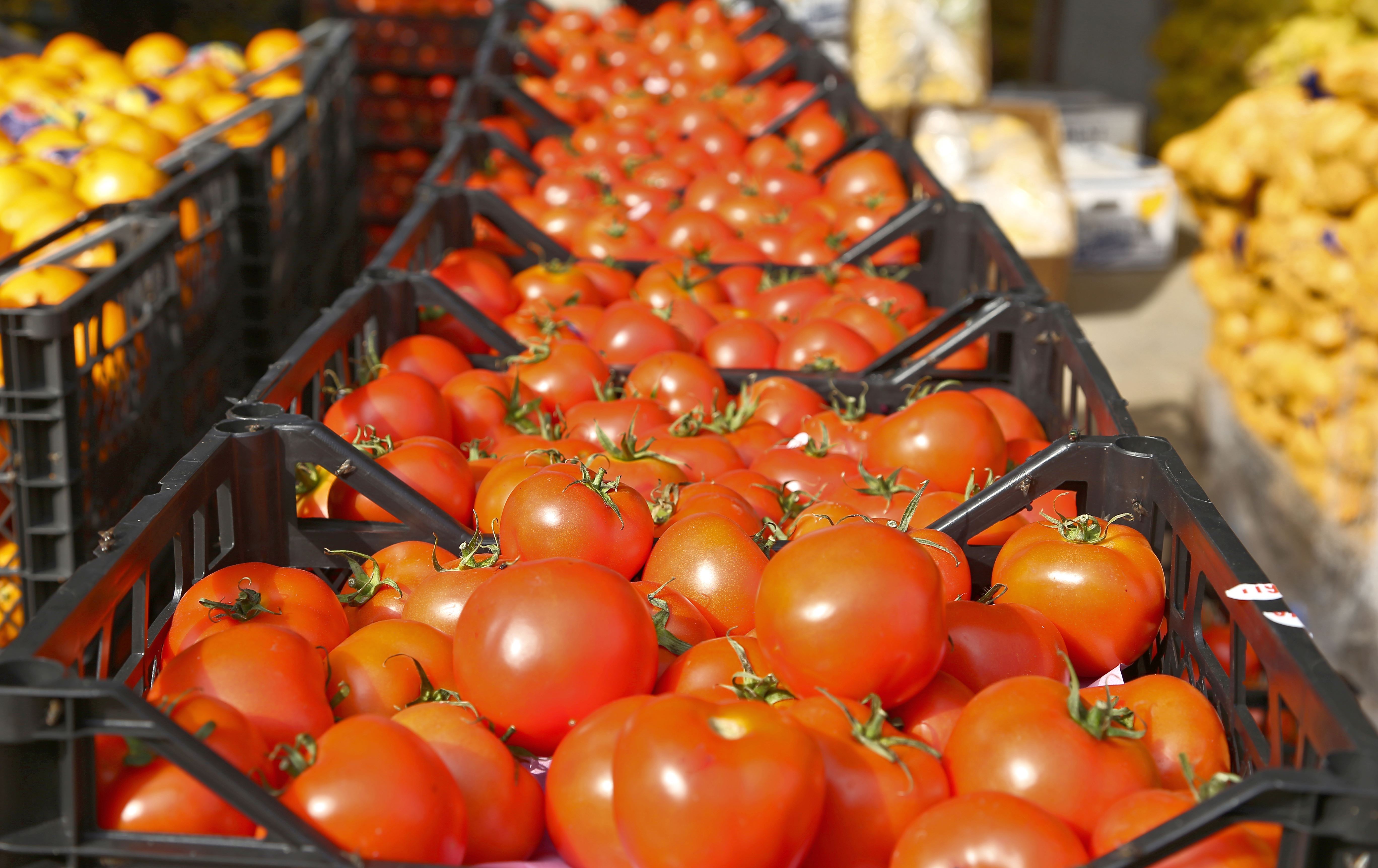 تەماتە لە بازاڕەکانی هەرێمی کوردستان. وێنە: بڵند تاهیر- رووداو