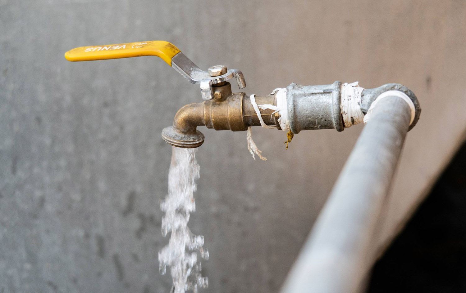 بۆرییەکی ئاو لە هەرێمی کوردستان؛ وێنە: بڵند تاهیر - رووداو