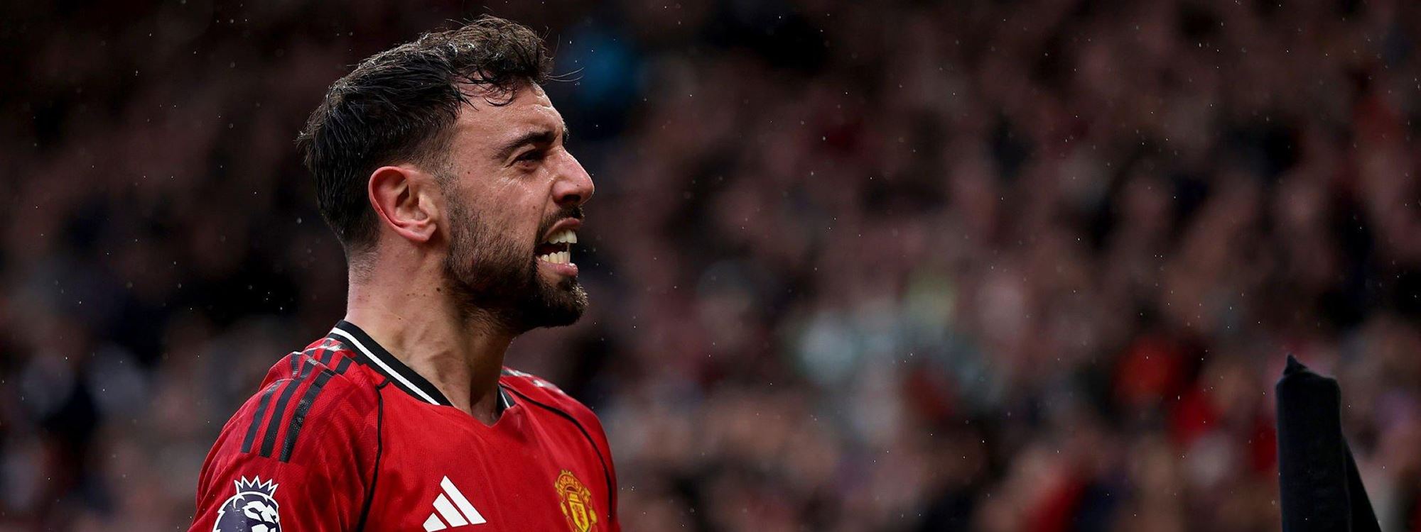 برۆنۆ فێرناندێز