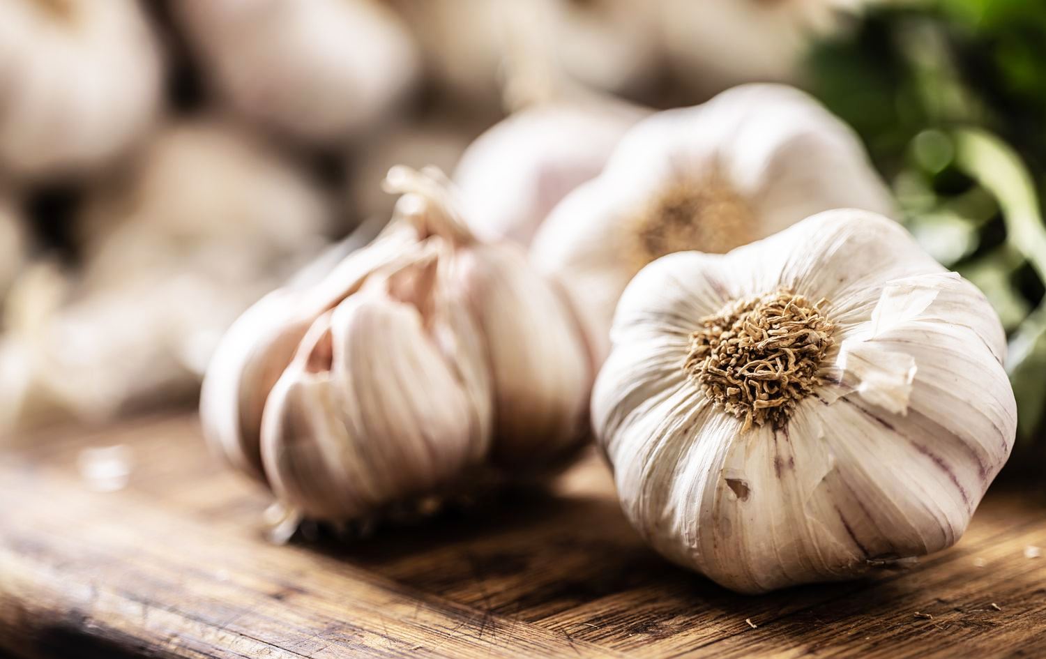 سیر. وێنە: Health