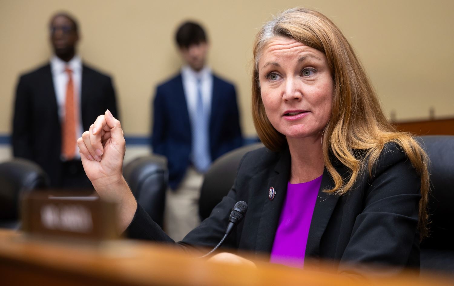 میلانی ستانسبێری، ئەندامی ئەنجوومەنی نوێنەرانی ئەمریکا