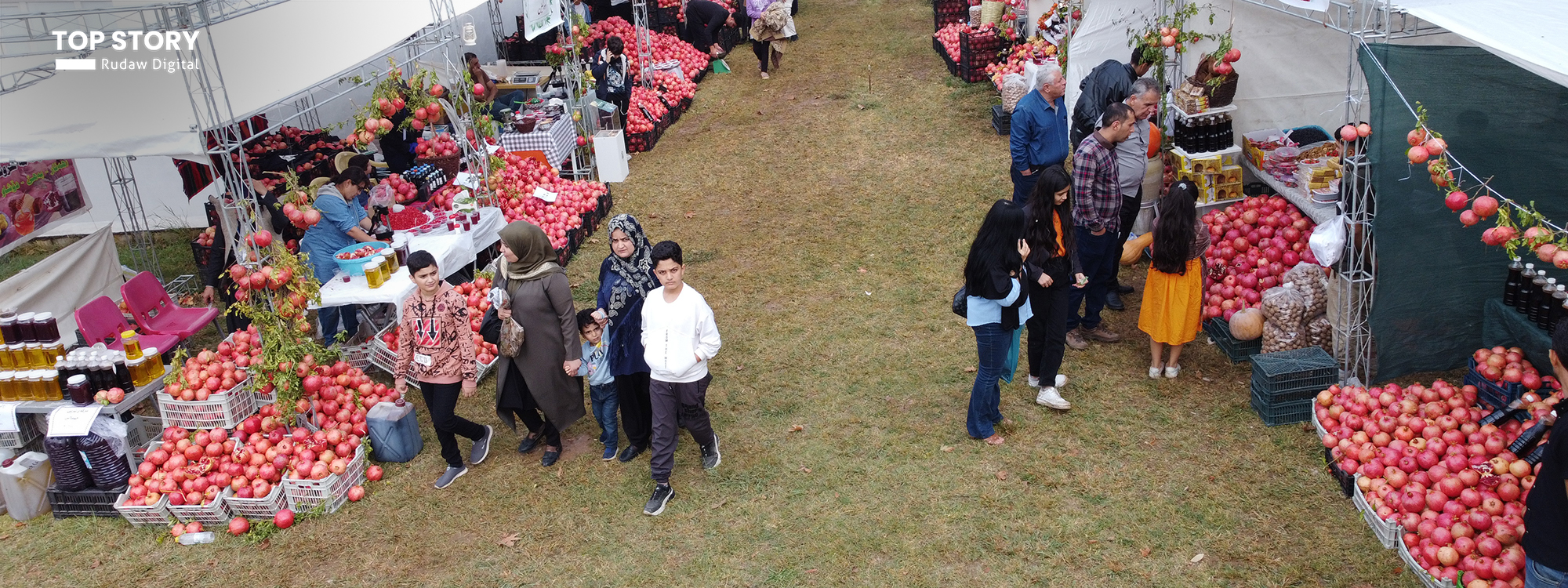 وەزیری کشتوکاڵ: ئەم ساڵ فێستیڤاڵی هەناری هەڵەبجە لە بەسرە بەڕێوەدەچێت