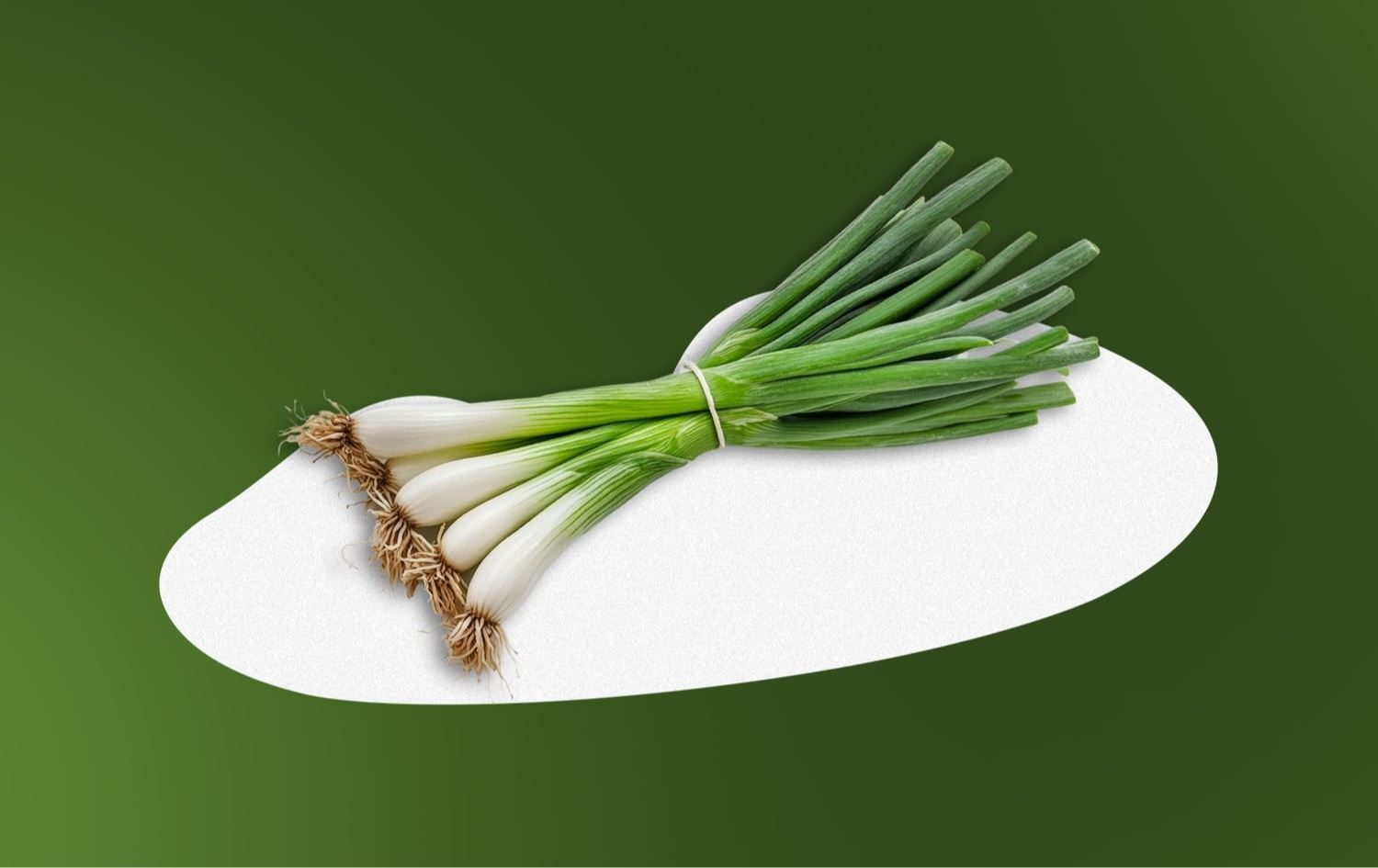 بصل أخضر