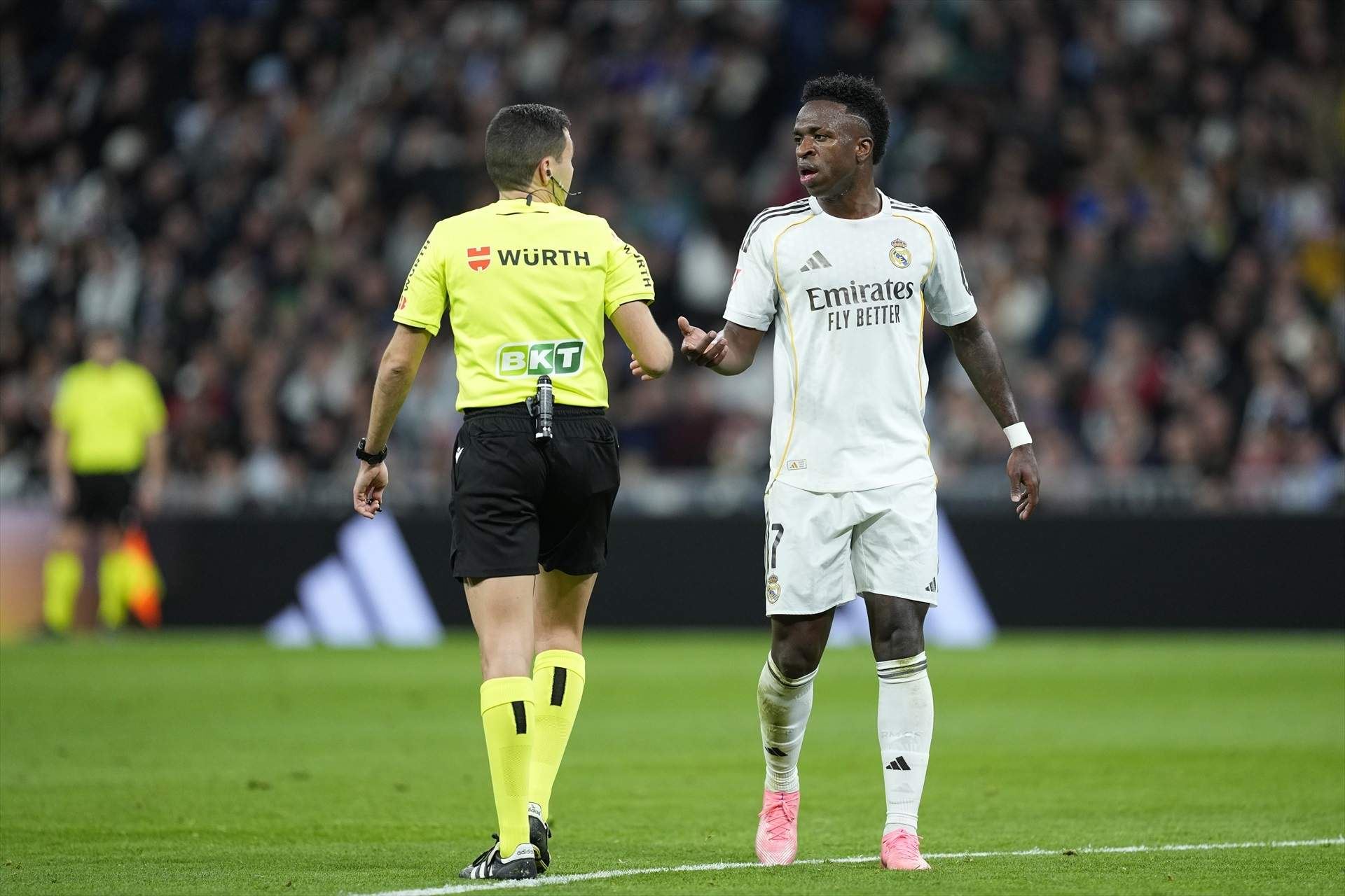 هێرناندێز مایسۆ و ڤینیسیۆس