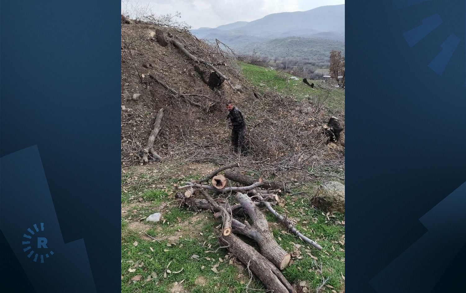 دارە بڕاوەکان. وێنە: تۆڕە کۆمەڵایەتییەکان