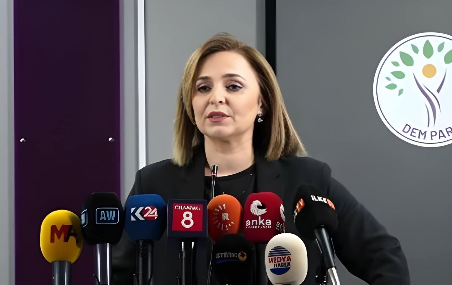 ئایشەگوڵ دۆغان، گوتەبێژی دەم پارتی