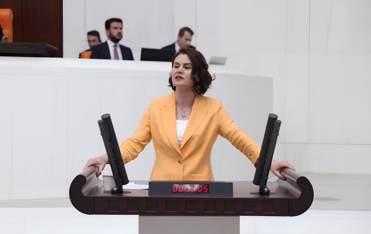 گولجان کاچماز ساییغیت، پەرلەمانتاری دەم پارتی و گوتەبێژی ئینیسیاتیڤی یەکێتیی دیموکراتیک