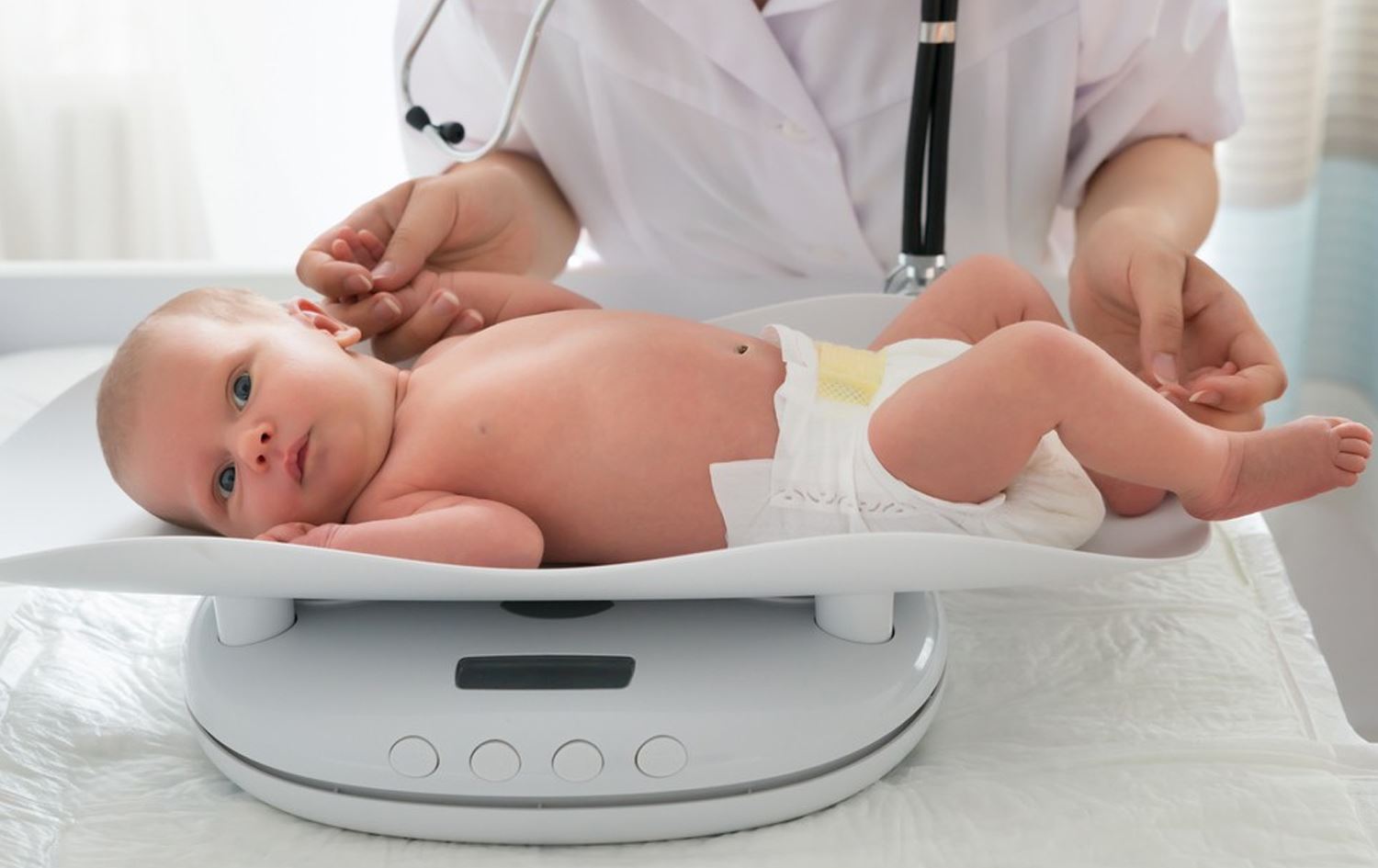 منداڵێک لەسەر قەپانێک دانراوە و کێشی دەپێورێت. وێنە: Y net Global