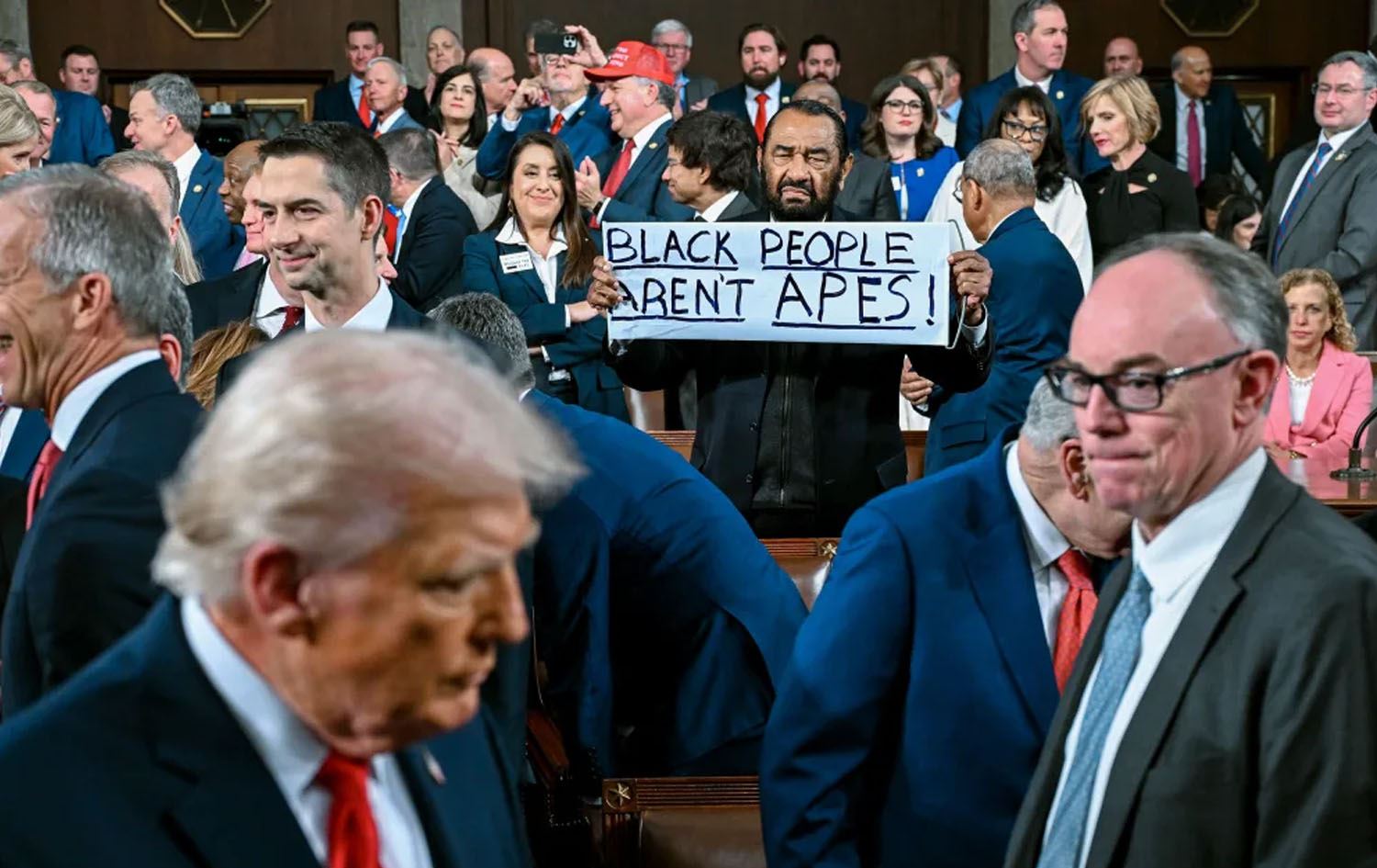 ساتی بەرزکردنەوەی درووشمەکە لەلایەن ئەل گرین-ەوە. وێنە: Kenny Holston / Getty Images