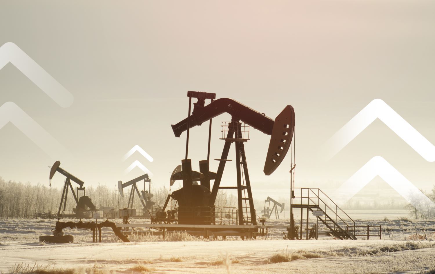 Parzûngeheke petrolê / Wêne: Arşîv