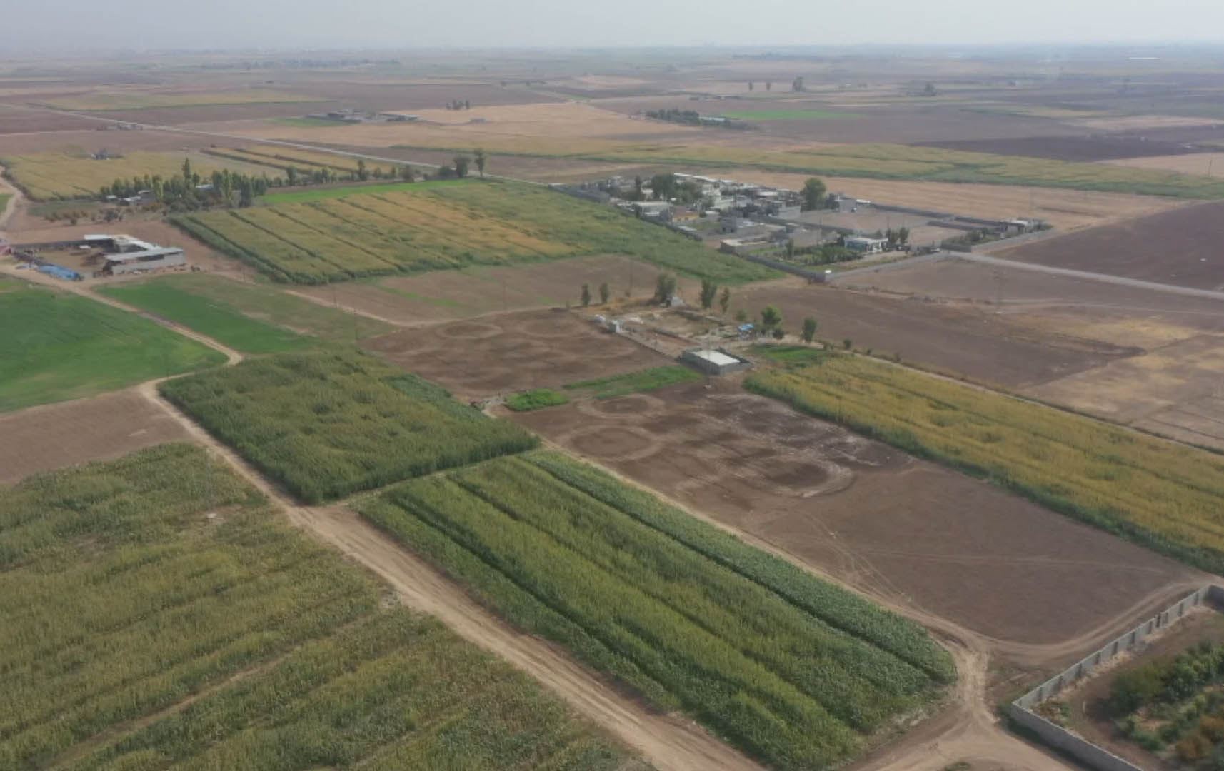 اراض زراعية في كركوك