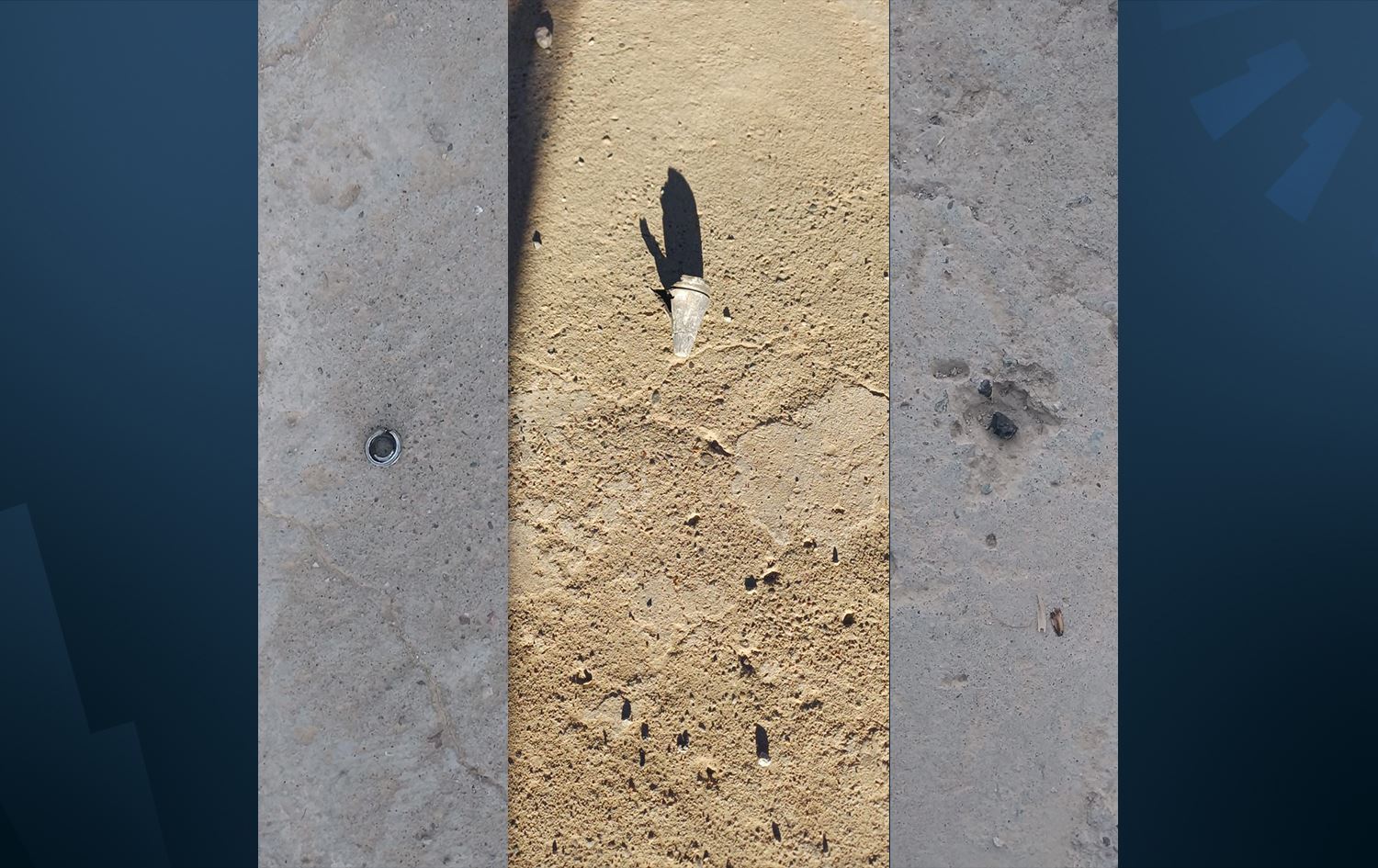 Parçeyekî mûşekê / Wêne: Rûdaw