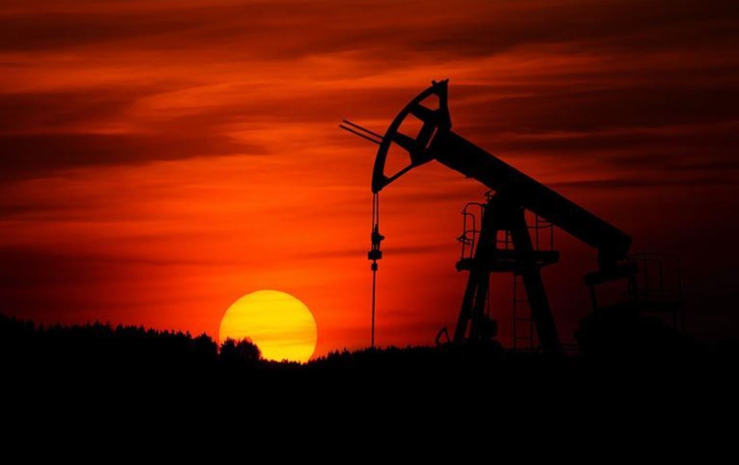 Fotoğraf: AA - Arşiv