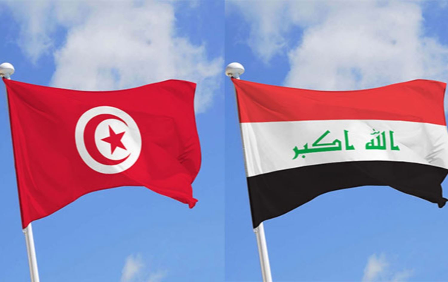 ئاڵای تونس و عێراق