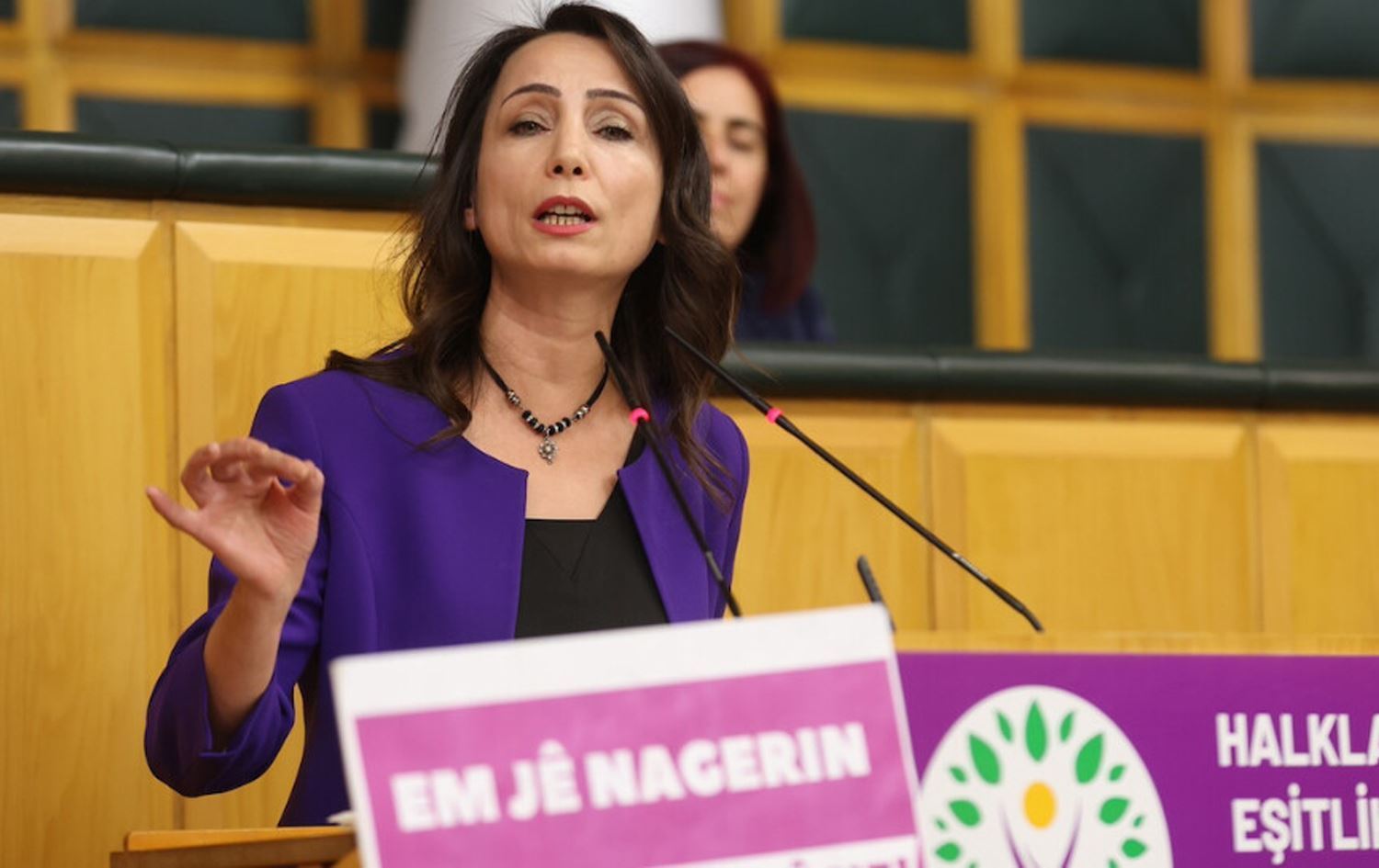 تولای هاتیمئۆغوڵڵاری، هاوسەرۆکی دەم پارتی