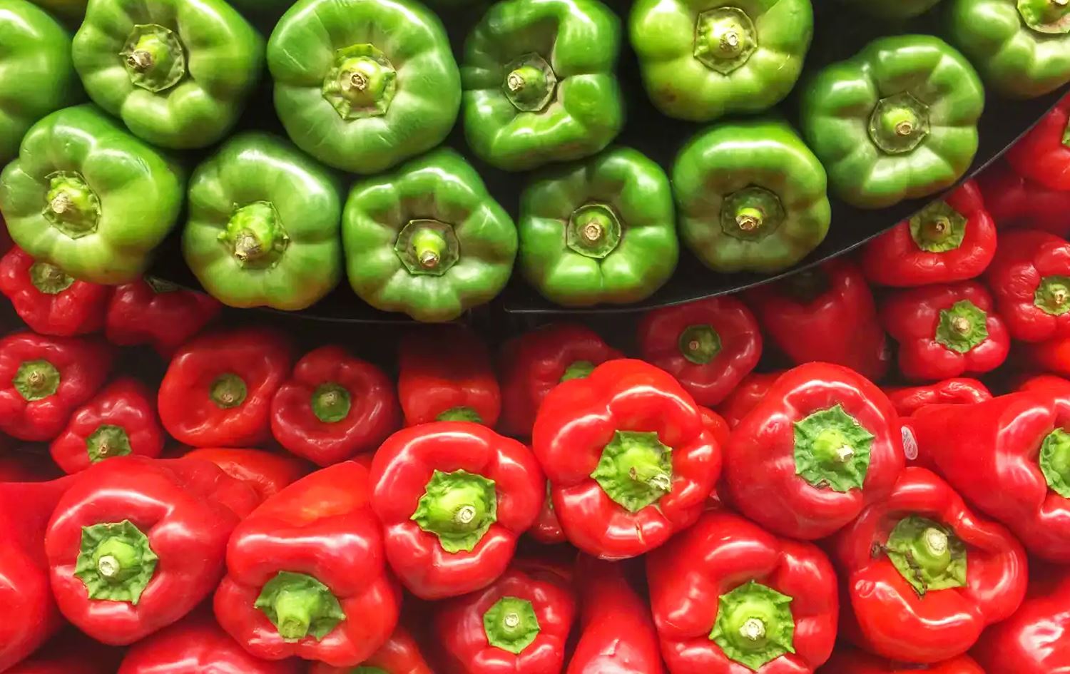 جیاوازی نێوان بیبەری سوور و سەوز چییە؟