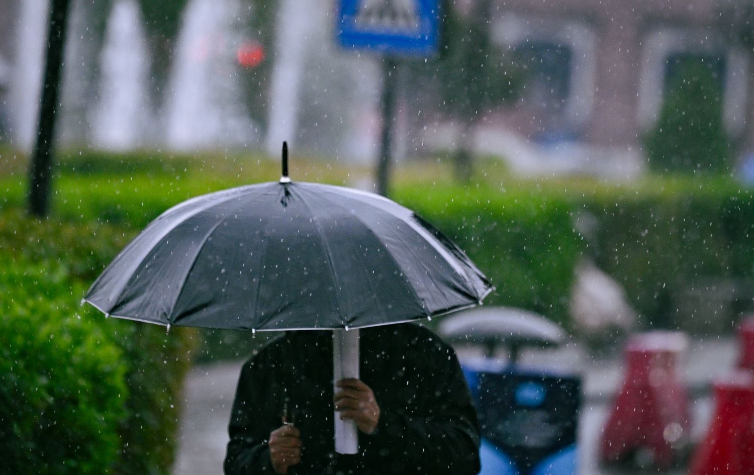 بارانبارین لە هەولێر. وێنە: بڵند تاهیر - رووداو