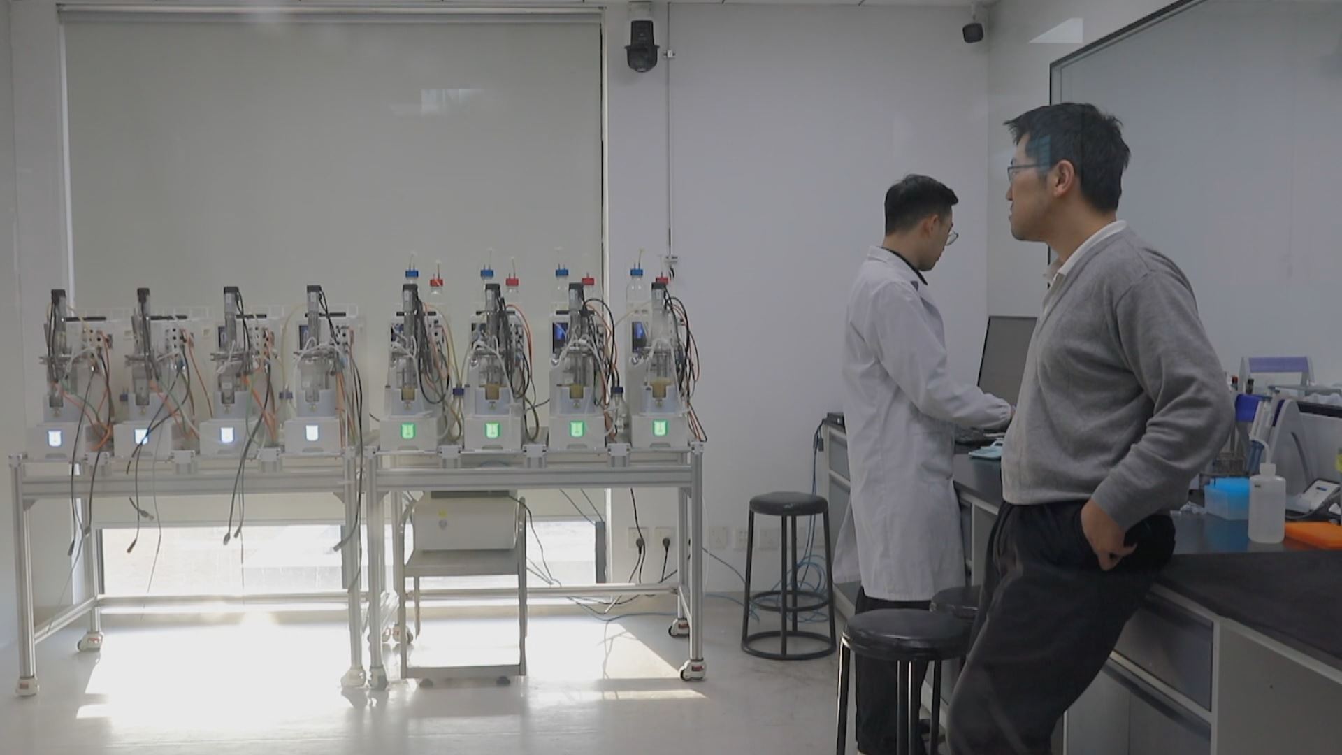 تاقیگەیەکی بایۆلۆجی