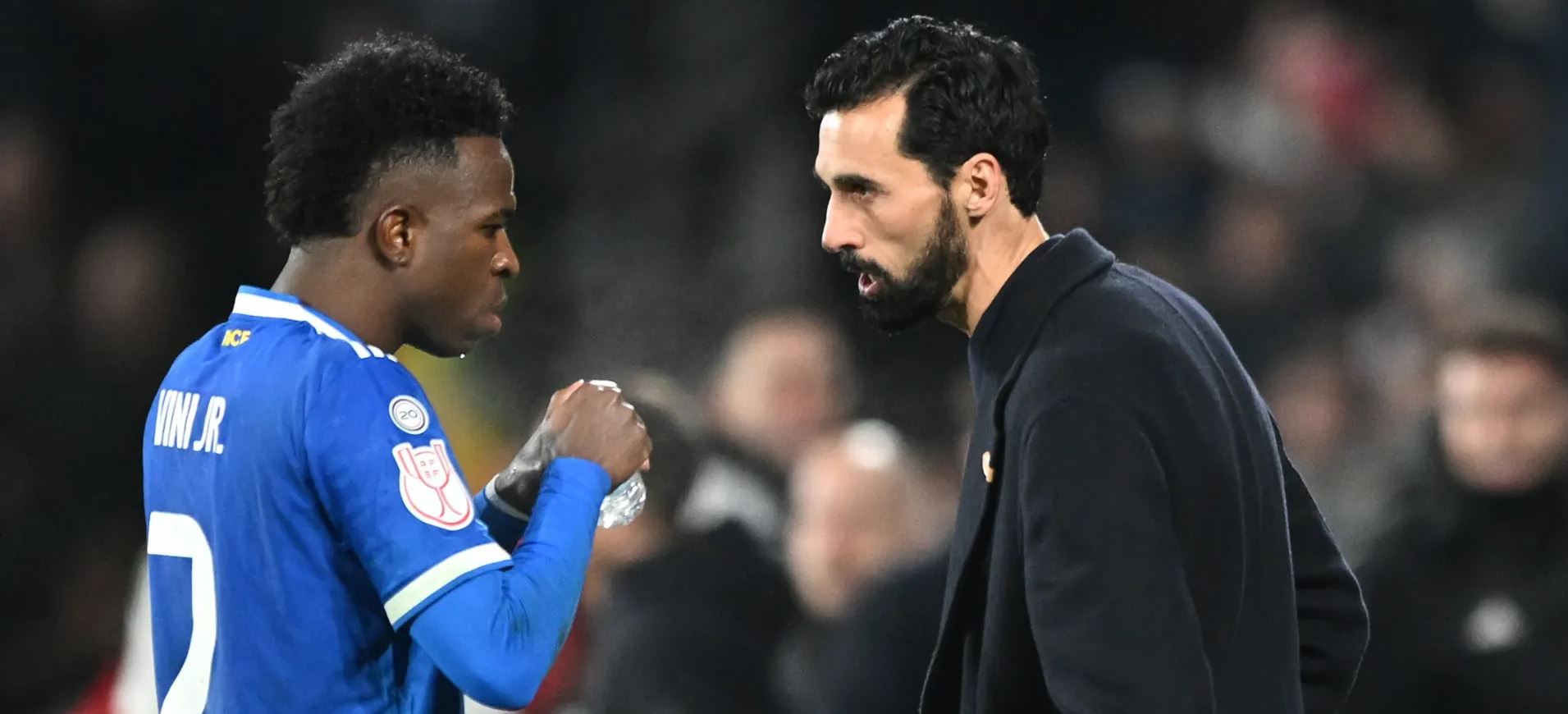 ئەربێلوا و ڤینی