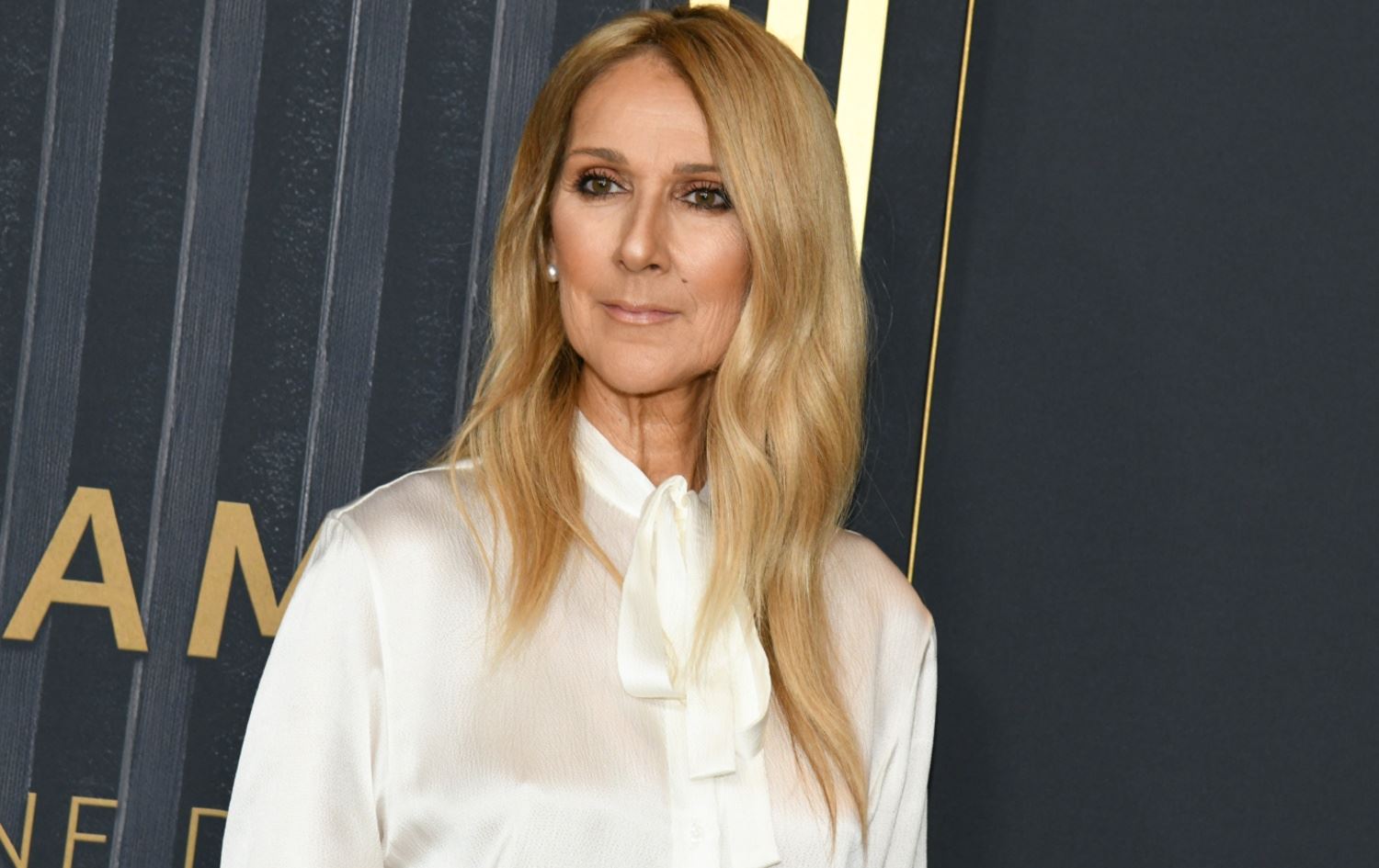 سيلين ديون - AFP