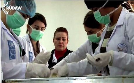 Ezidi kadınlar kolları sıvadı